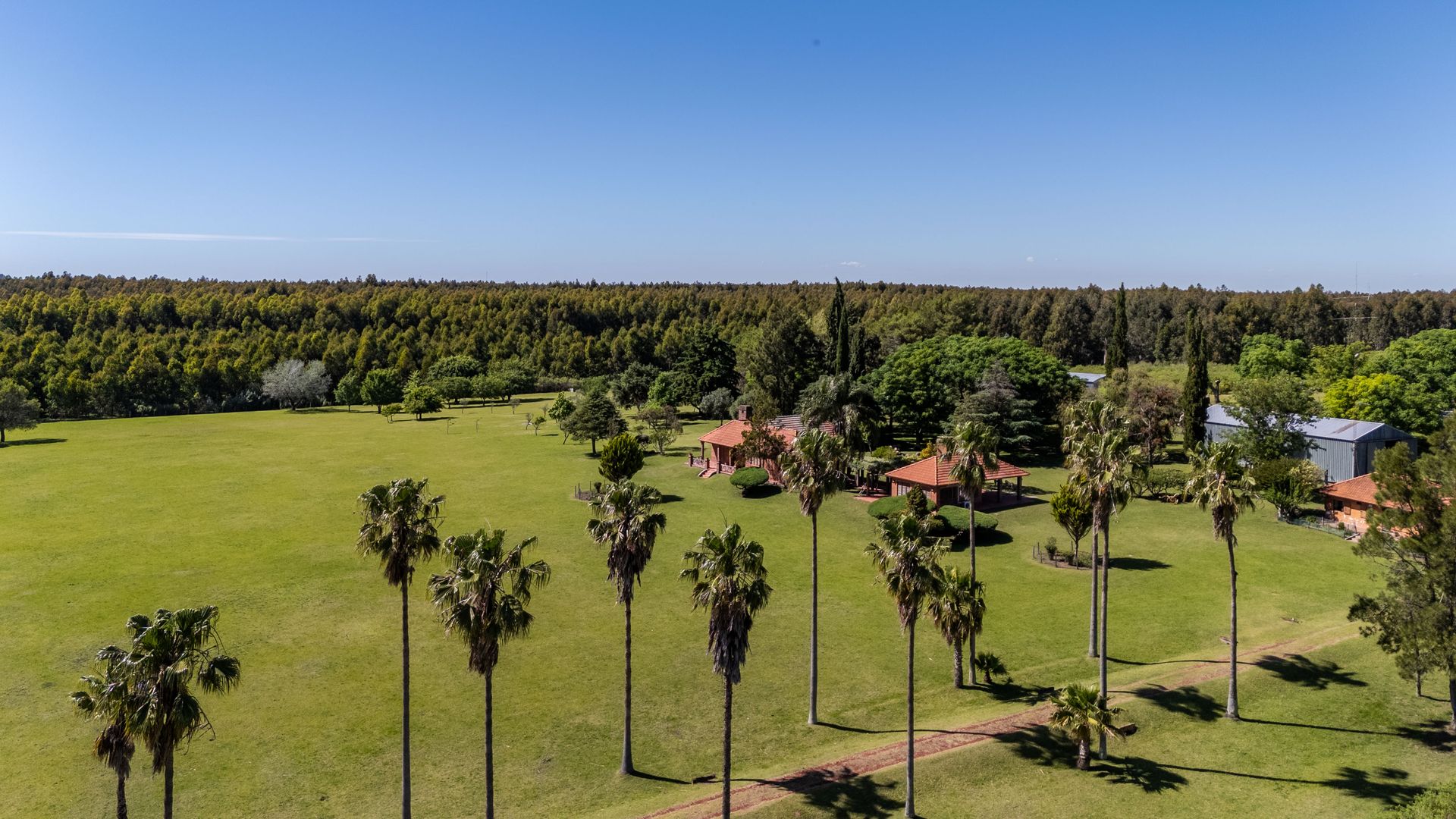 Venta Campo 60 Hectáreas Casco Y Galp. Fray Bentos - 5