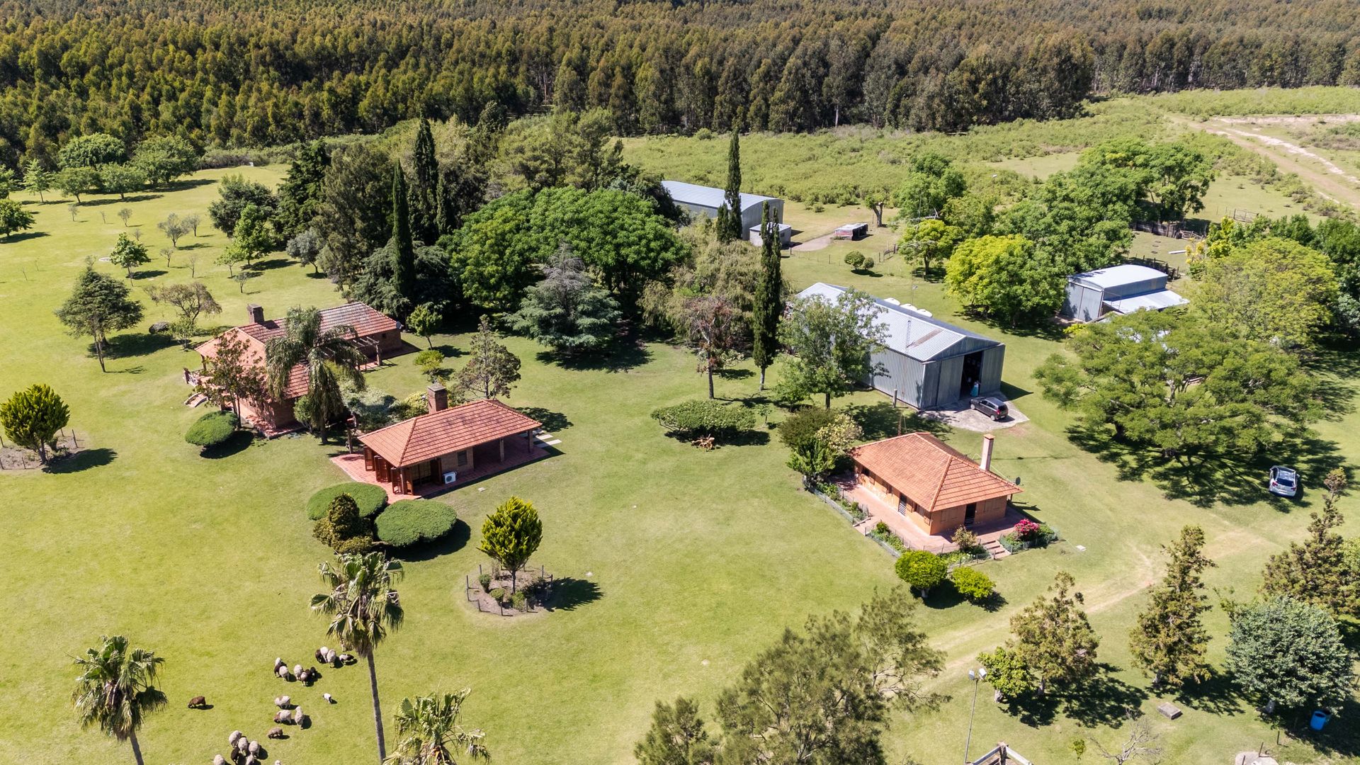 Venta Campo 60 Hectáreas Casco Y Galp. Fray Bentos - 3