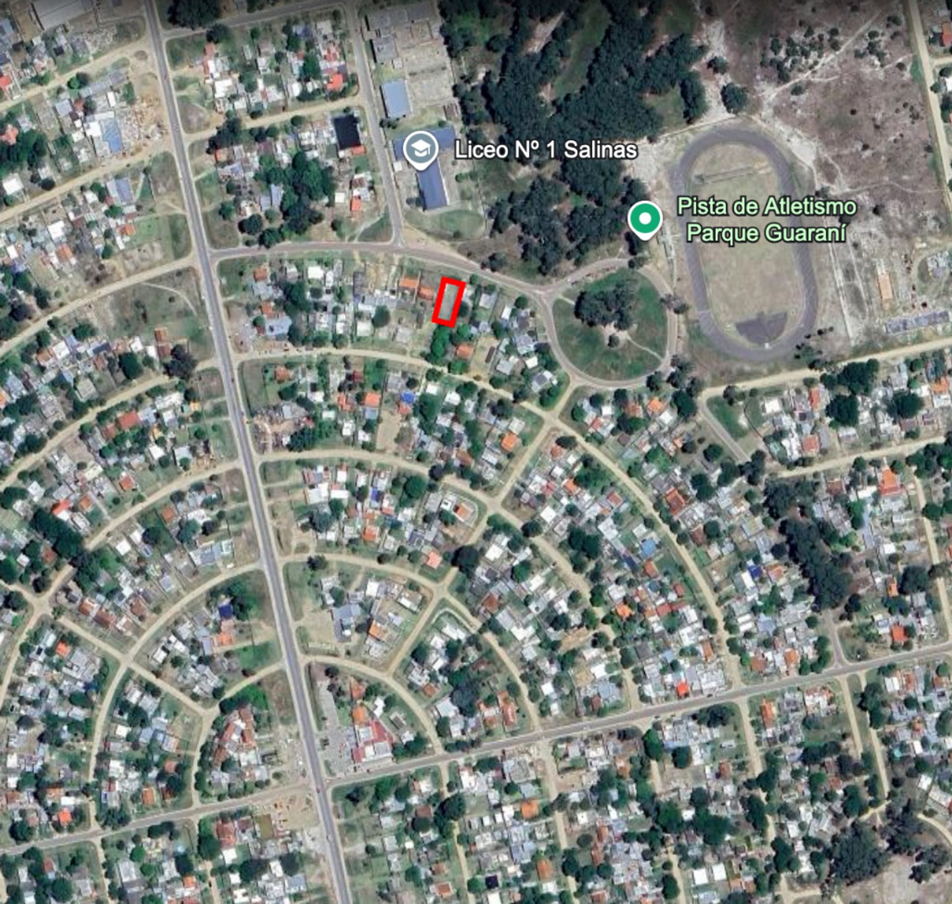 Venta de parcela Salinas Norte en Nuda Propiedad - 1