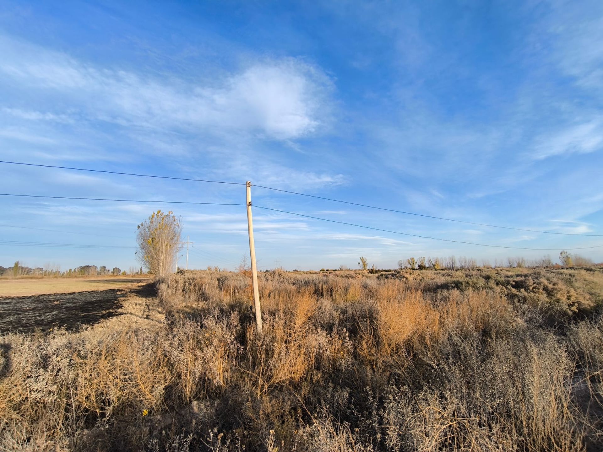 Campo en Venta en Las Heras, Mendoza