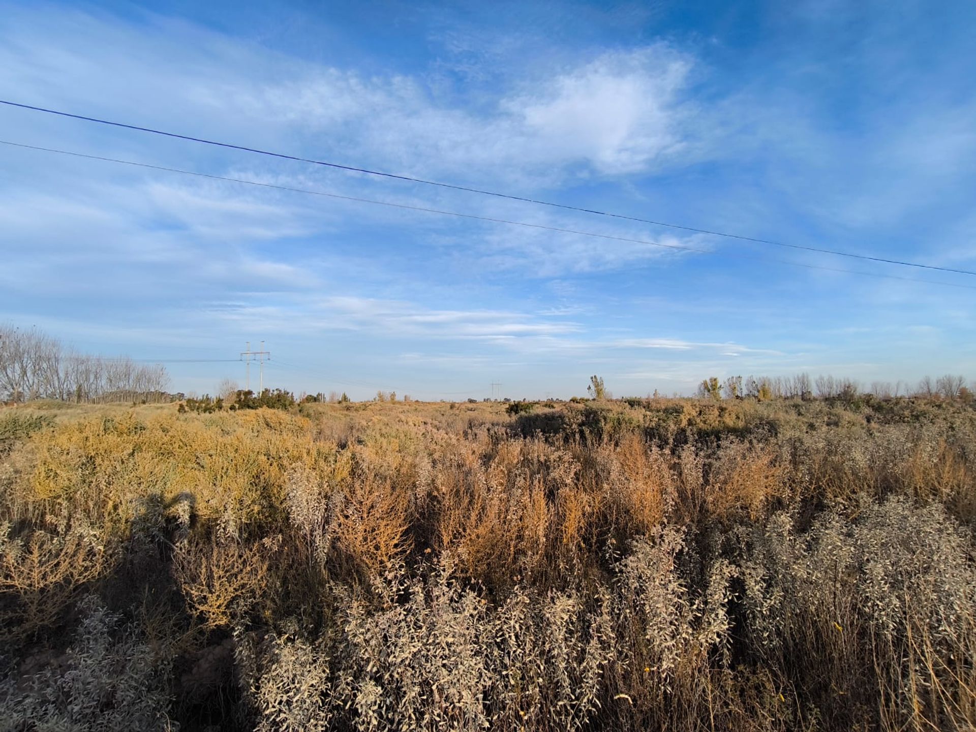 Campo en Venta en Las Heras, Mendoza
