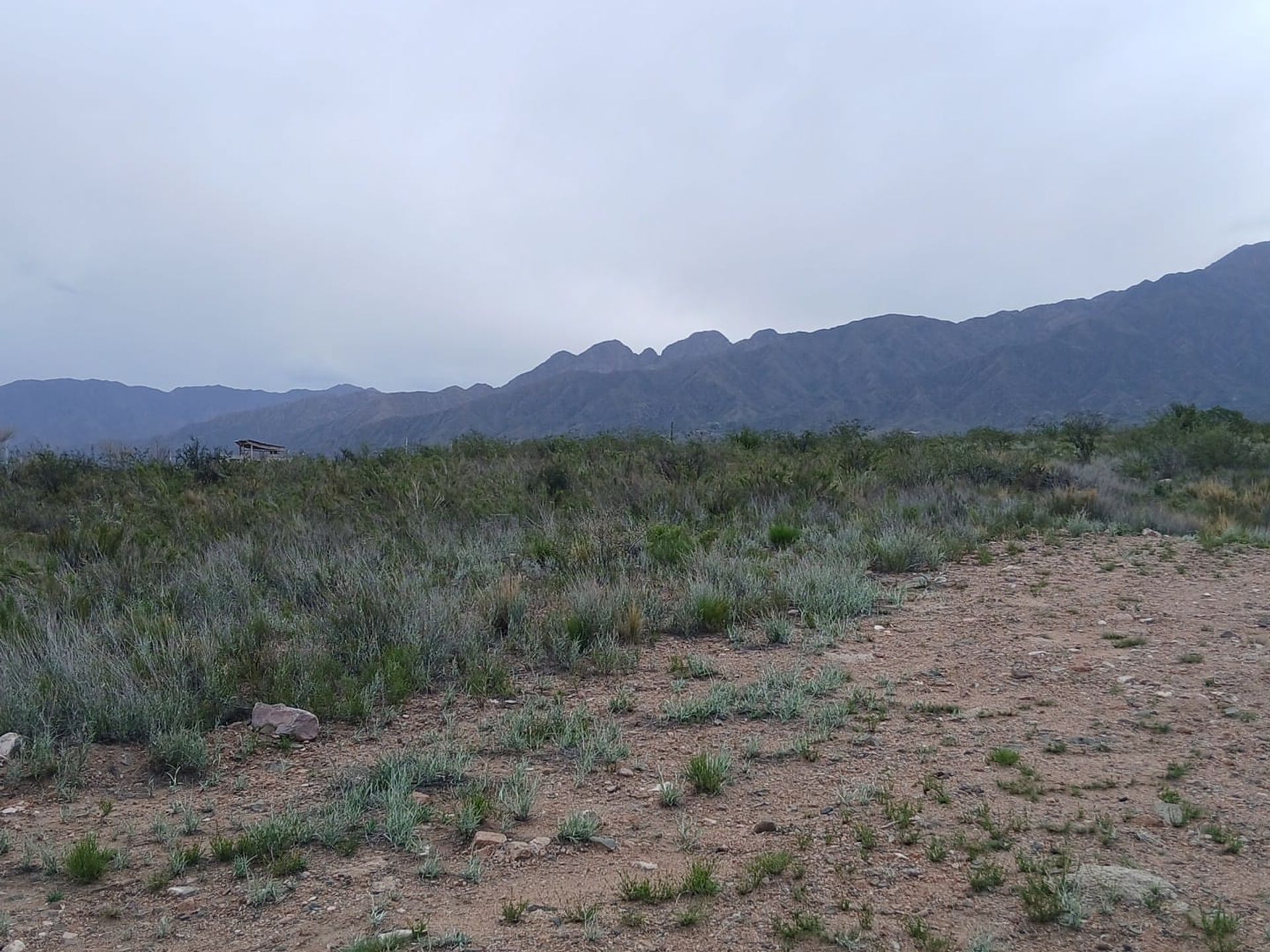 Lote en Venta en Lujan de Cuyo, Mendoza