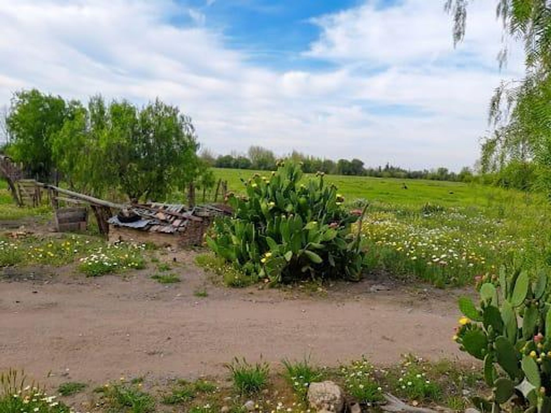 Lote en Venta en San Rafael, Mendoza