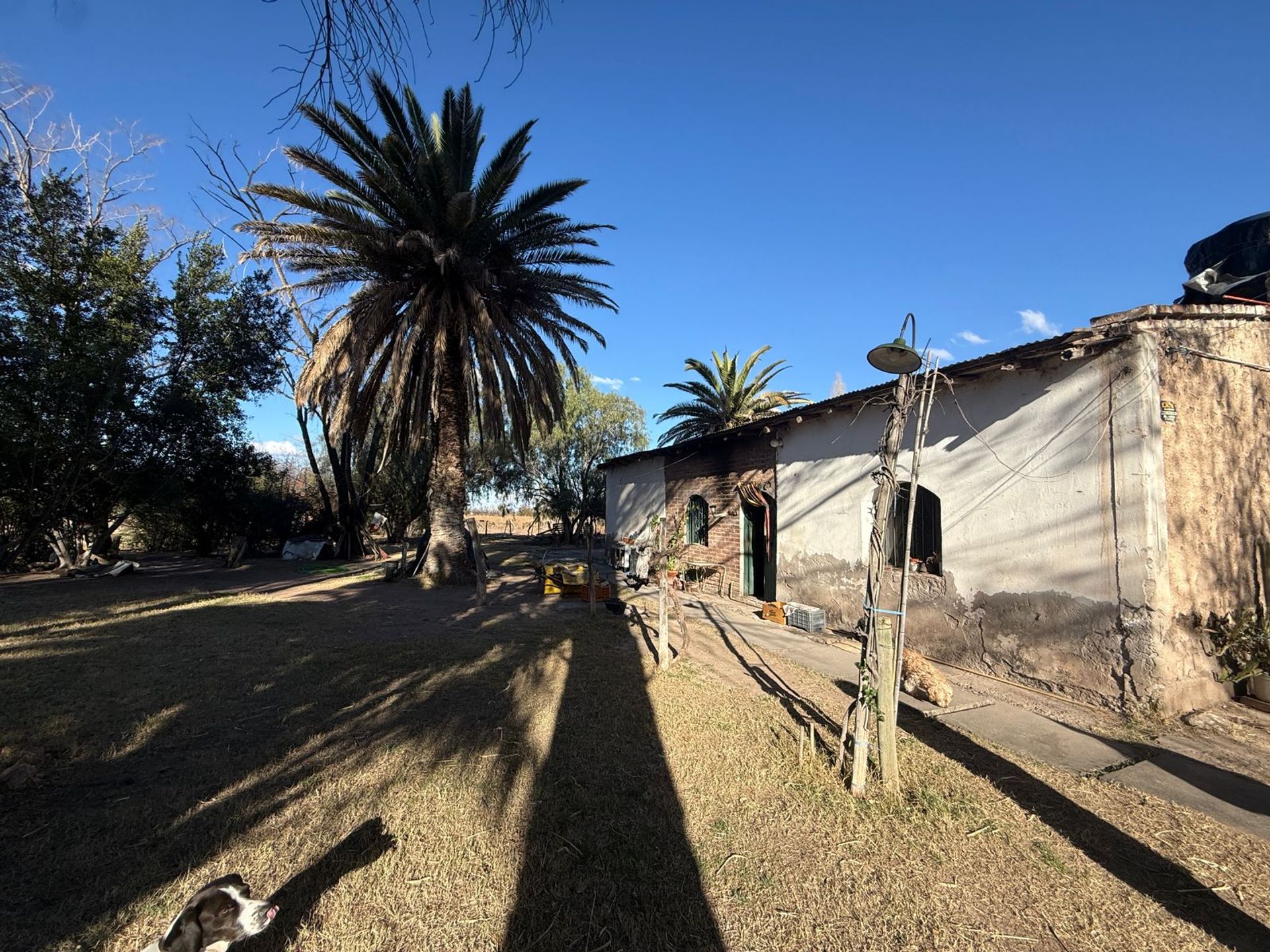 Lote en Venta en San Rafael, Mendoza