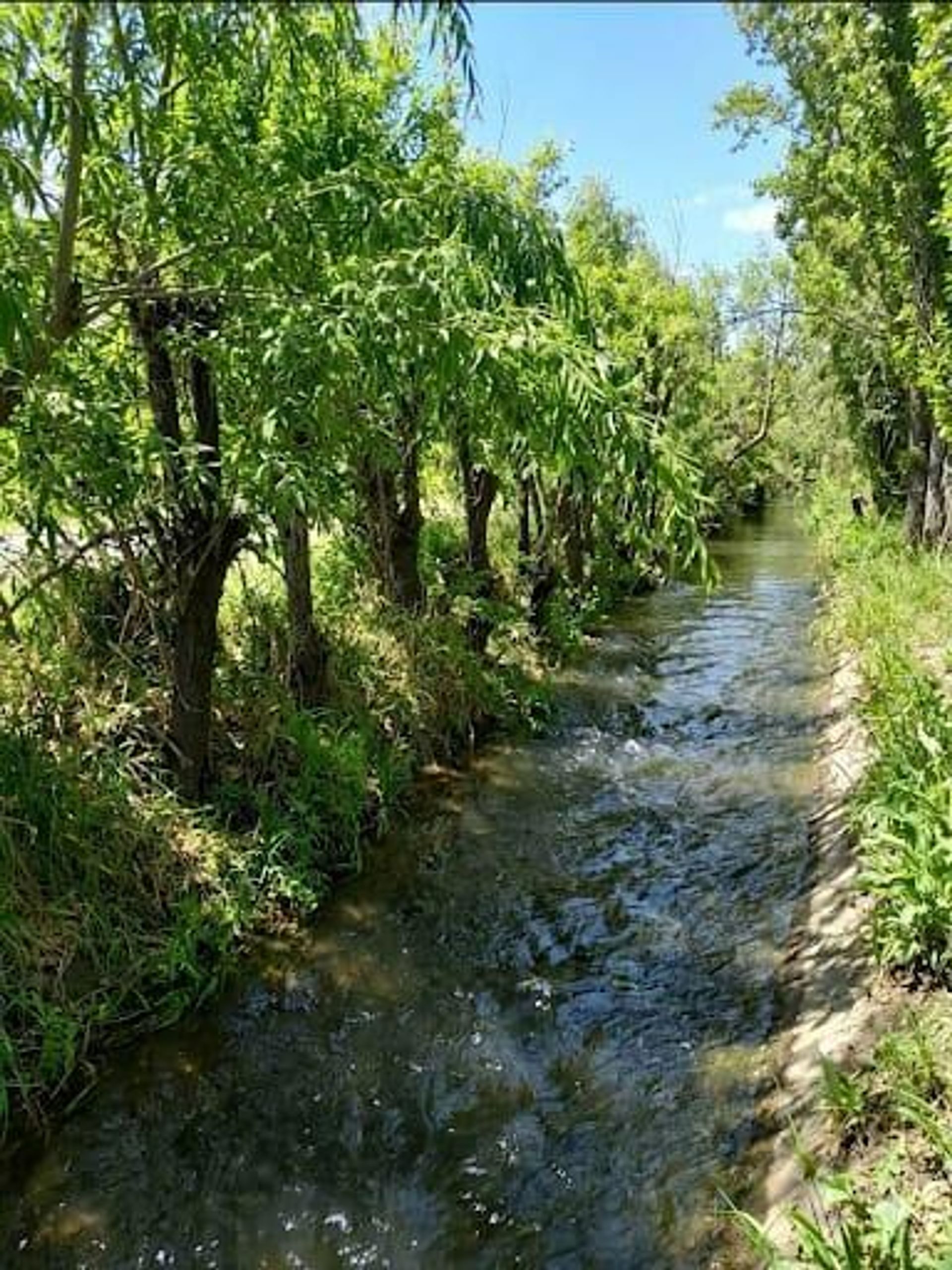 Lote en Venta en San Rafael, Mendoza
