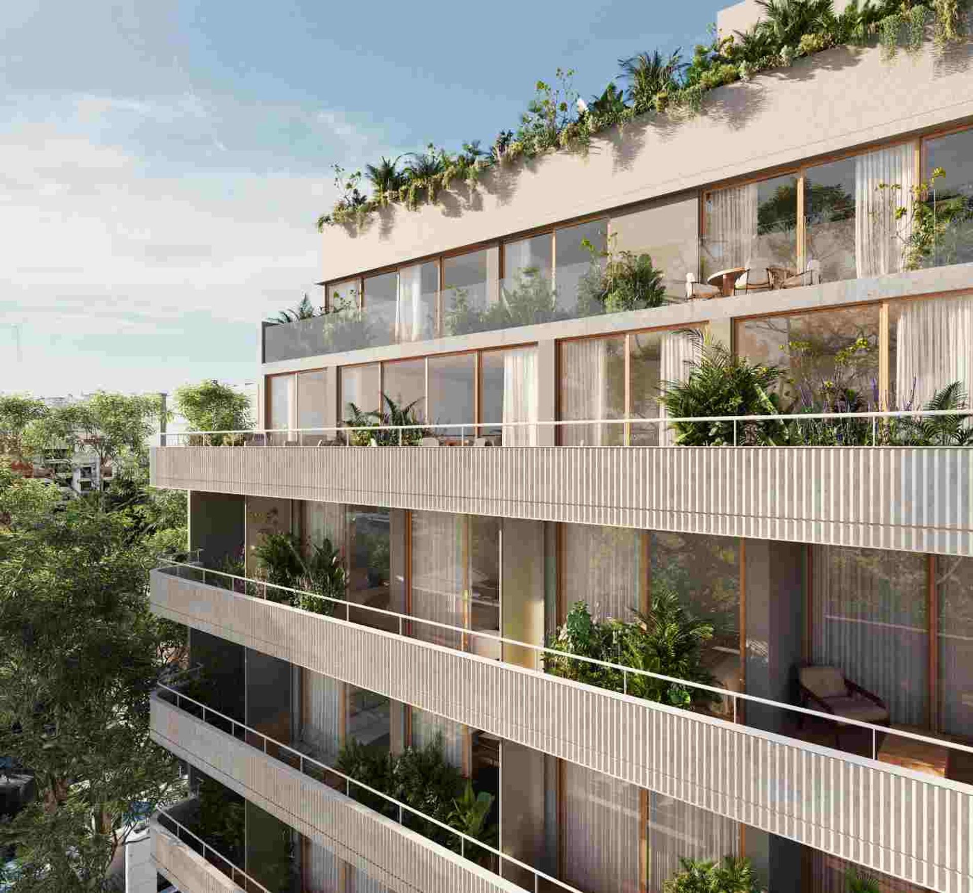 Imagen 11
