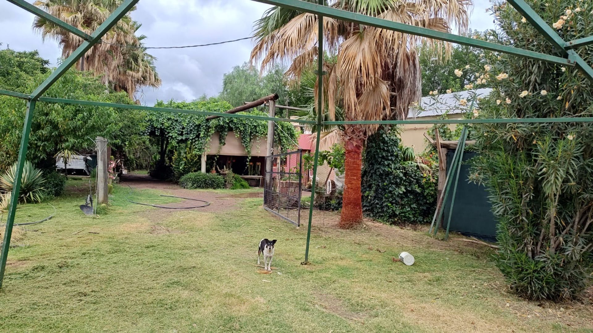 Campo en Venta en San Martin, Mendoza - USD 65.000 | Inmoup - 8