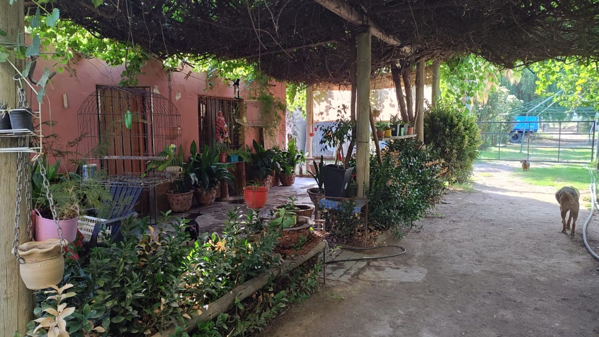 Campo en Venta en San Martin, Mendoza - USD 65.000 | Inmoup - 7