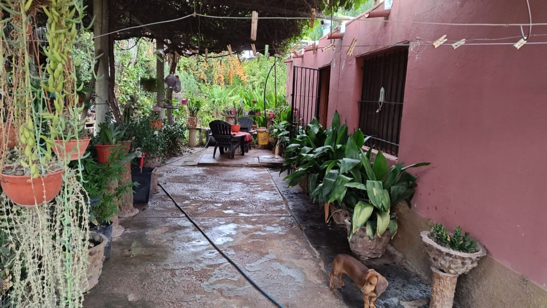 Campo en Venta en San Martin, Mendoza - USD 65.000 | Inmoup - 9