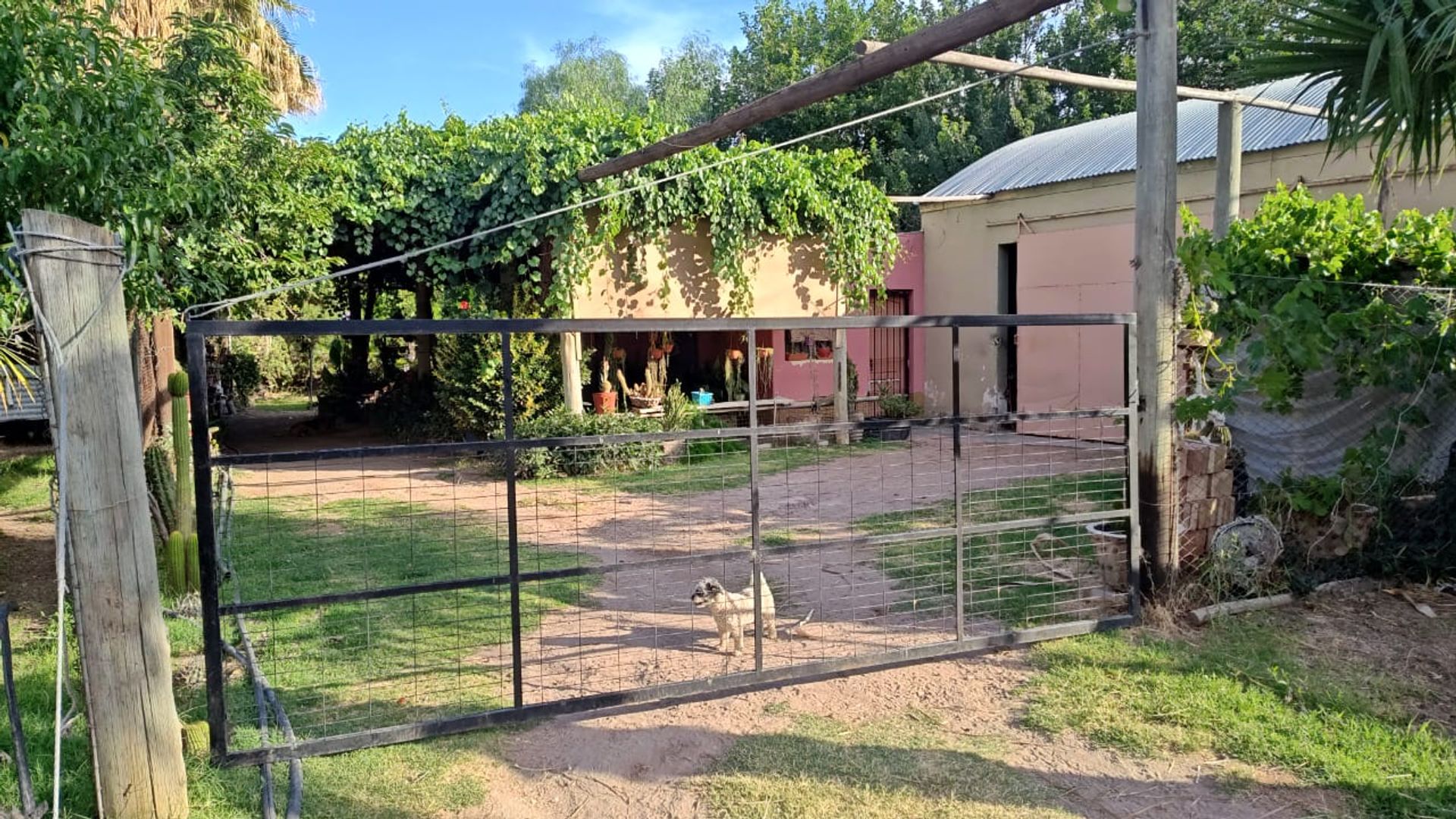 Campo en Venta en San Martin, Mendoza - USD 65.000 | Inmoup - 6