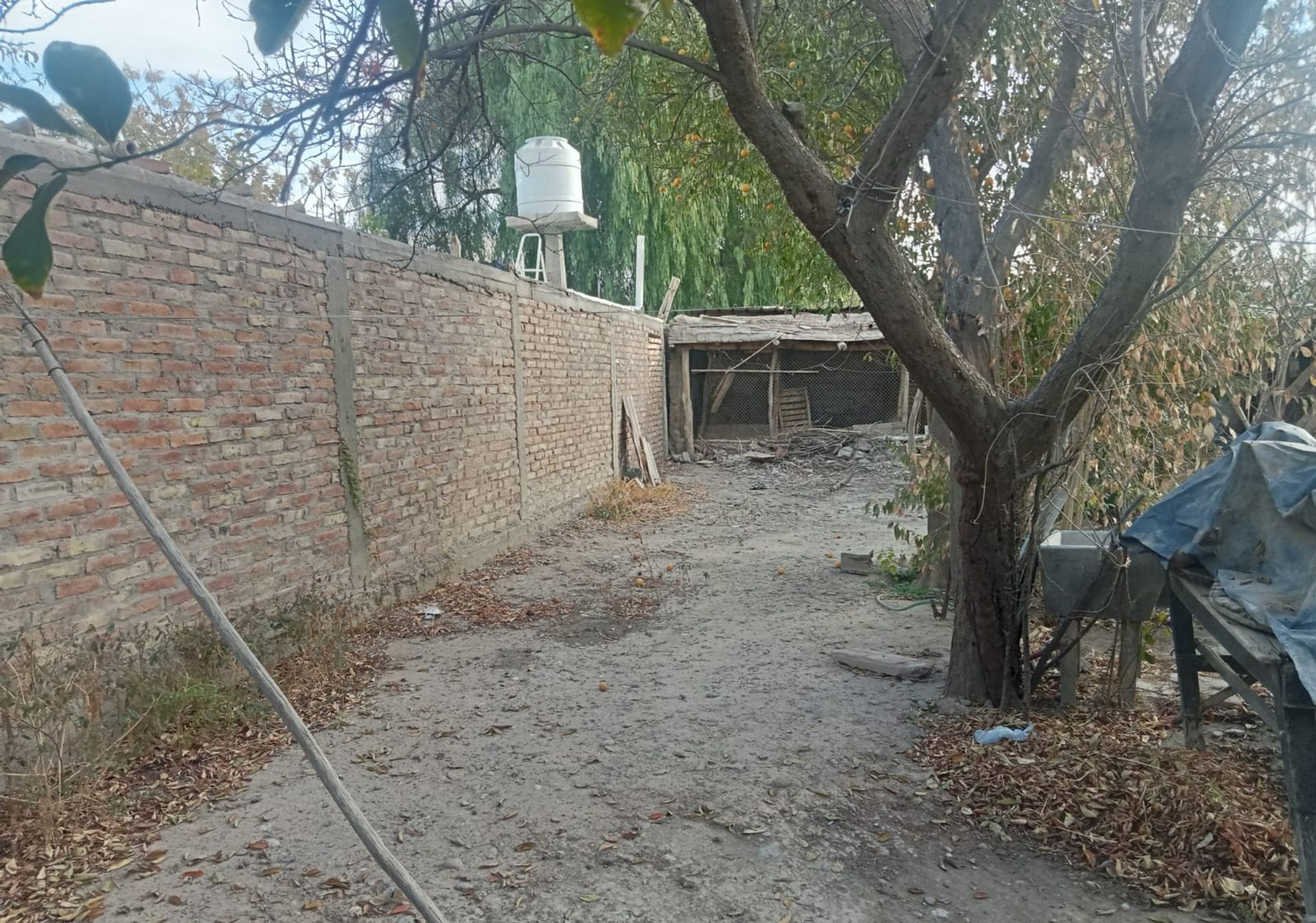 Casa en Venta en Rivadavia, San Juan