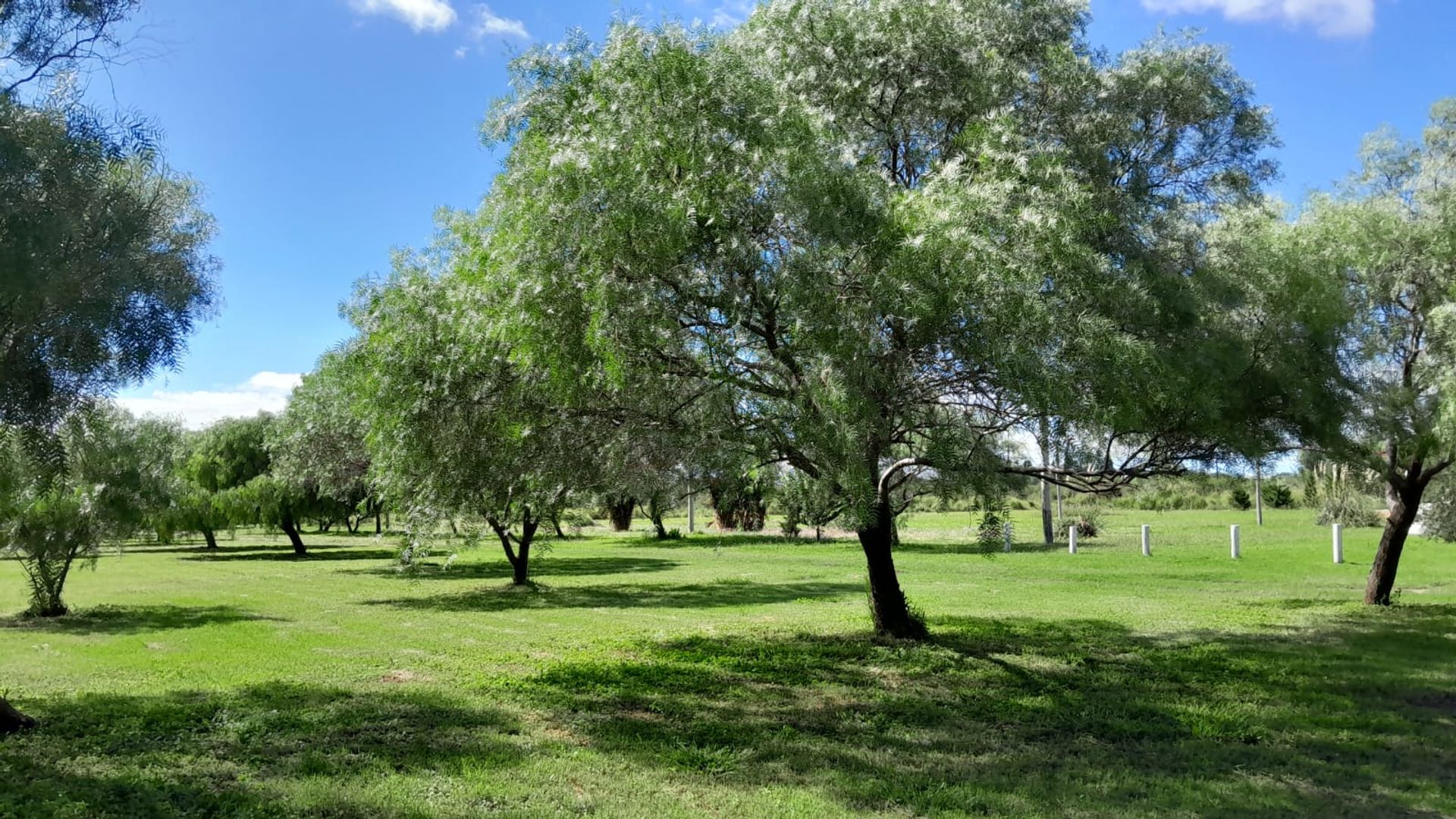 Local Comercial en Venta en Ischilin, Cordoba