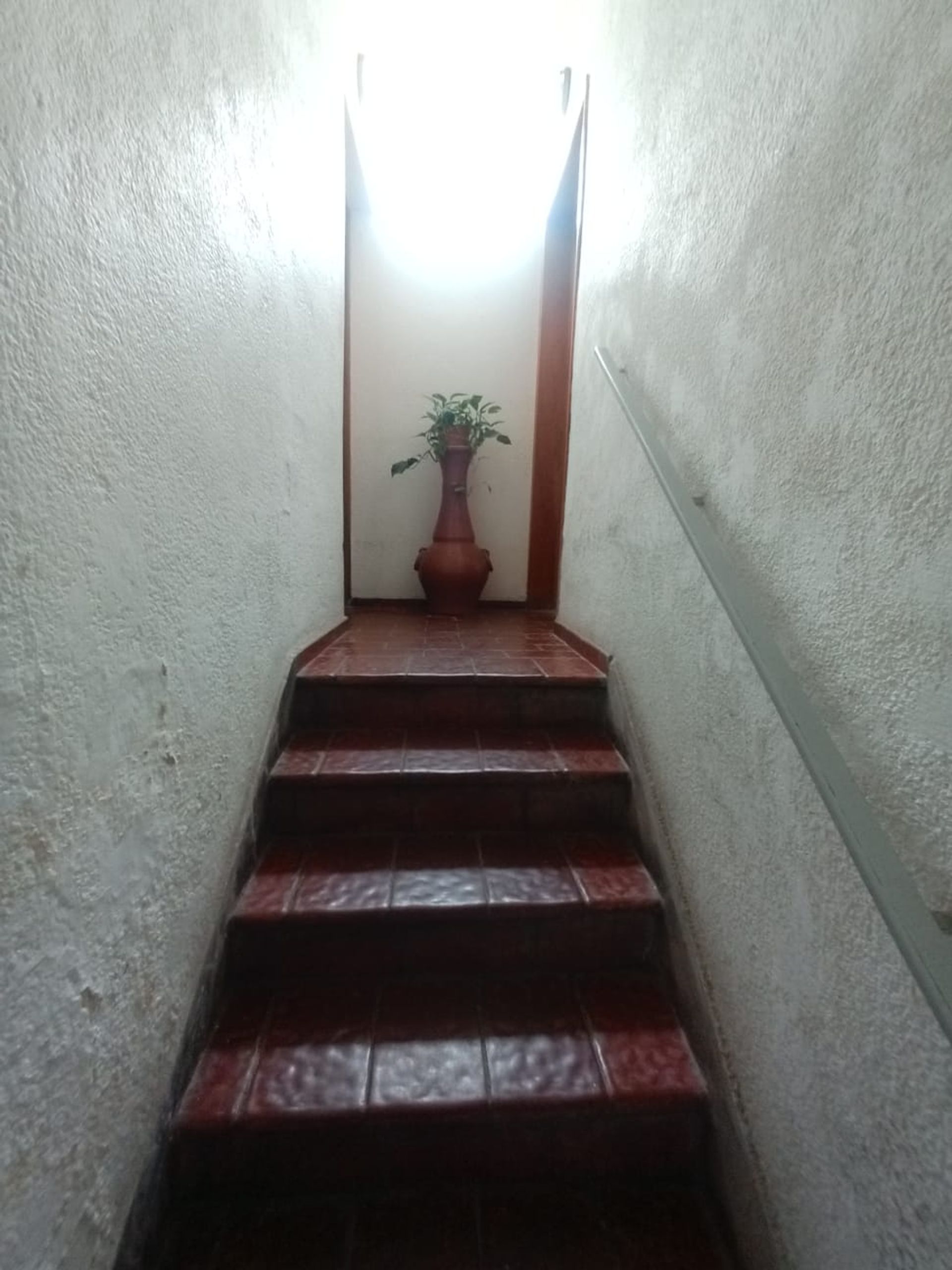 P H en Alquiler en Capital, Mendoza - $ 890.000 | Inmoup - 47