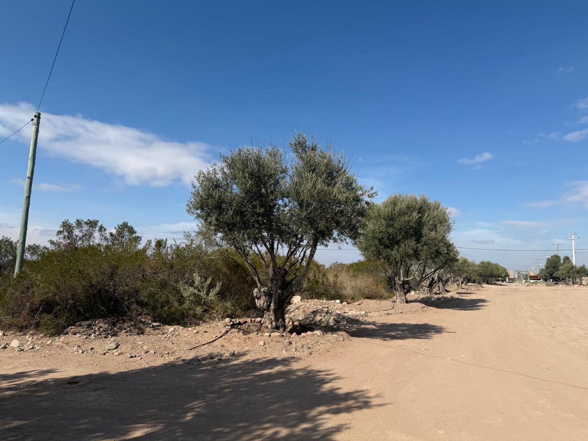 Lote en Venta en Lujan de Cuyo, Mendoza