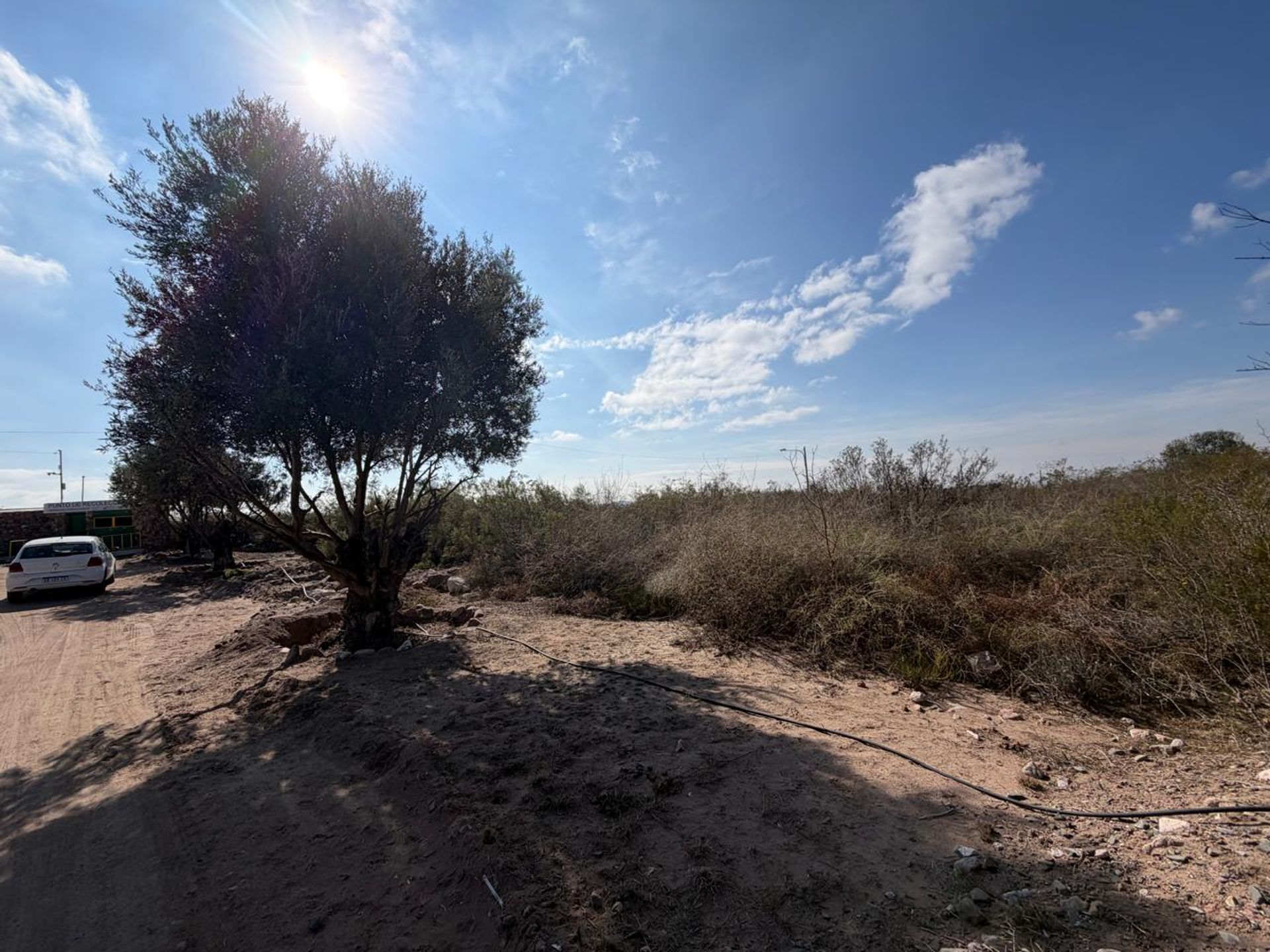 Lote en Venta en Lujan de Cuyo, Mendoza