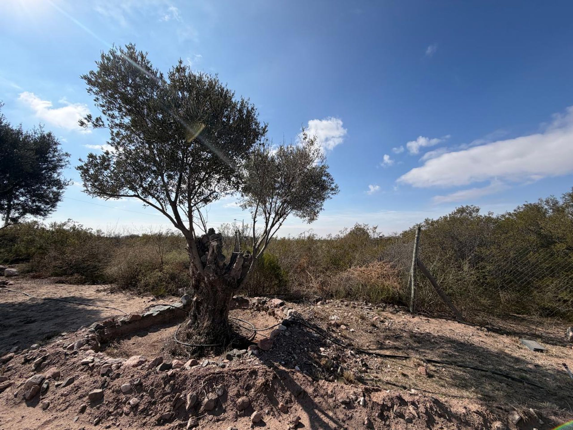 Lote en Venta en Lujan de Cuyo, Mendoza