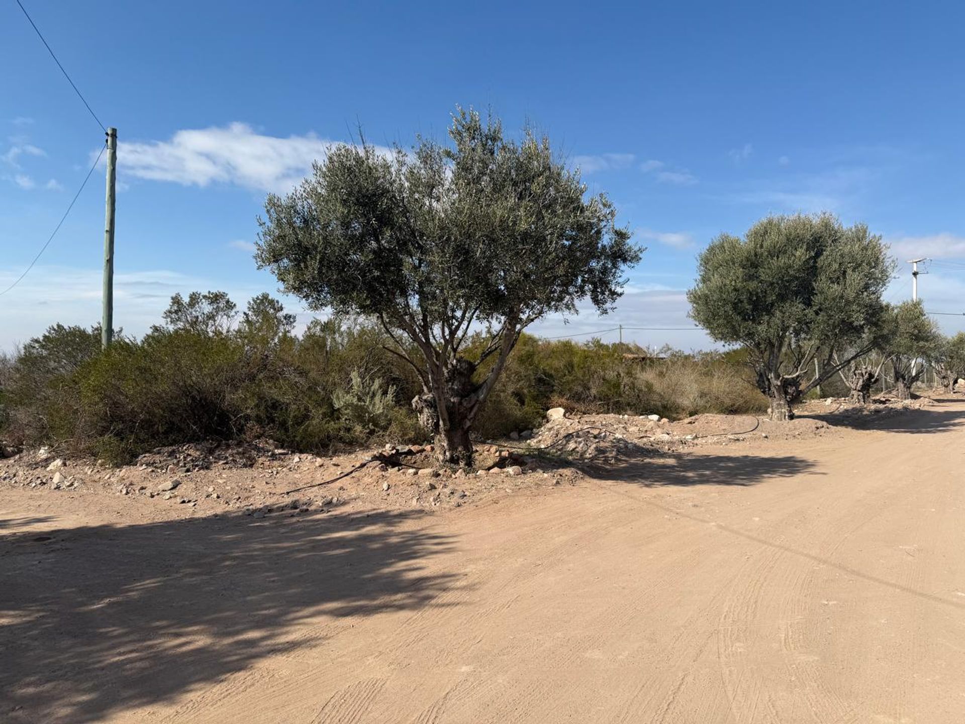 Lote en Venta en Lujan de Cuyo, Mendoza