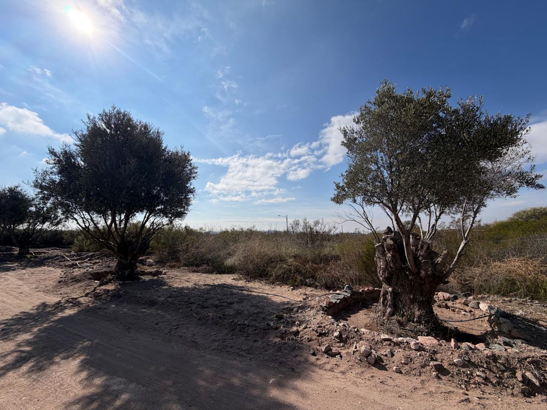Lote en Venta en Lujan de Cuyo, Mendoza