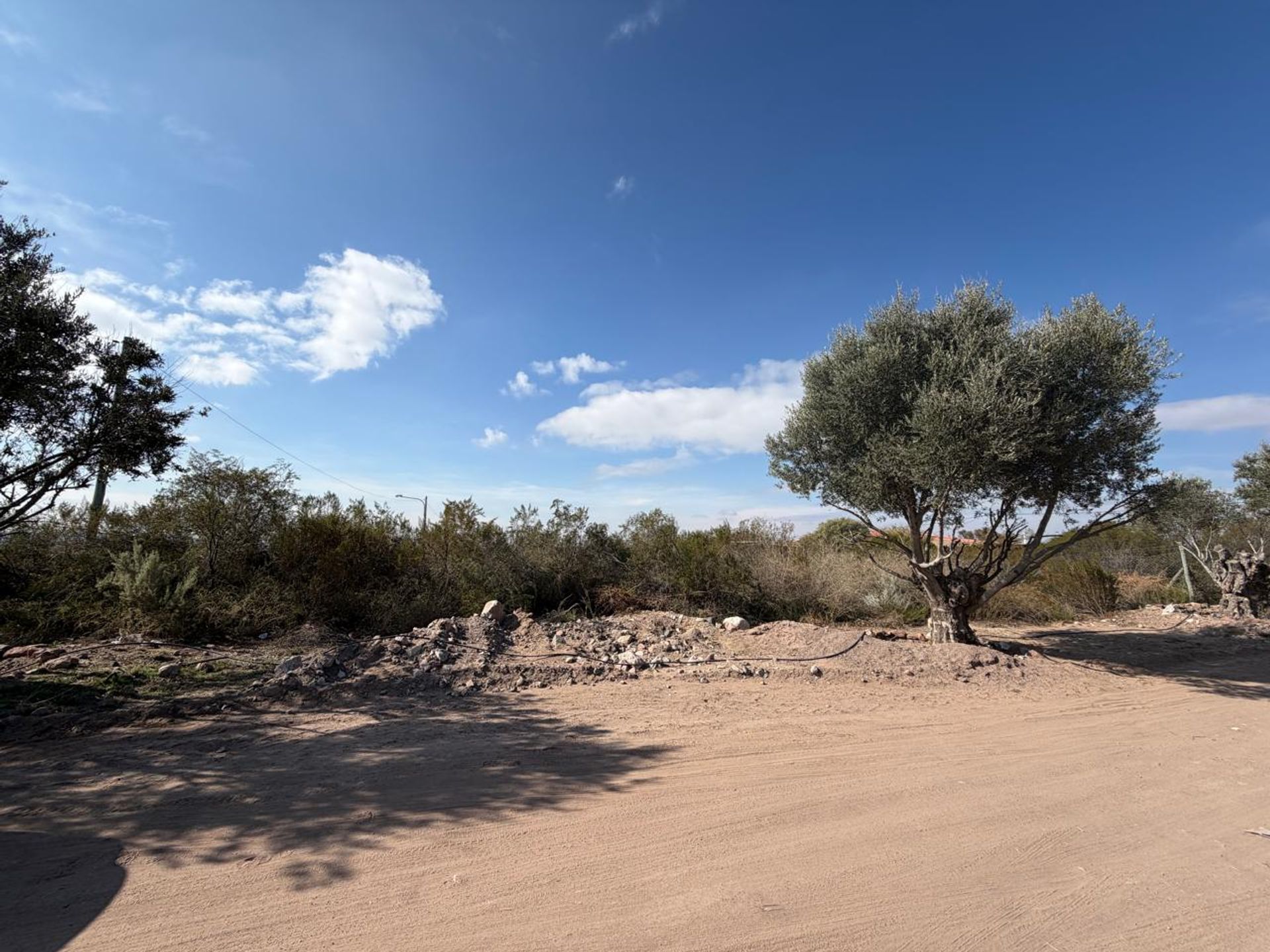 Lote en Venta en Lujan de Cuyo, Mendoza
