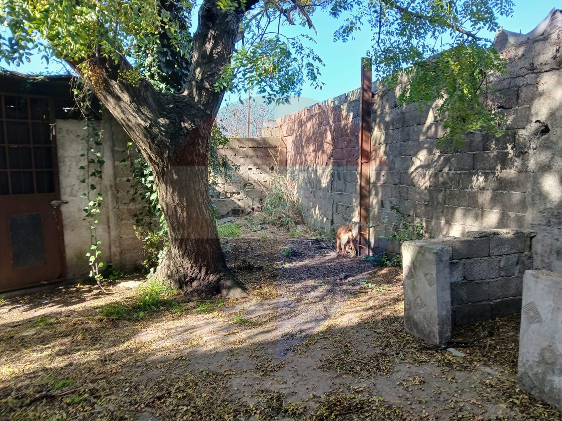 Venta padrón una casa y 2 aptos Villa Española - 16