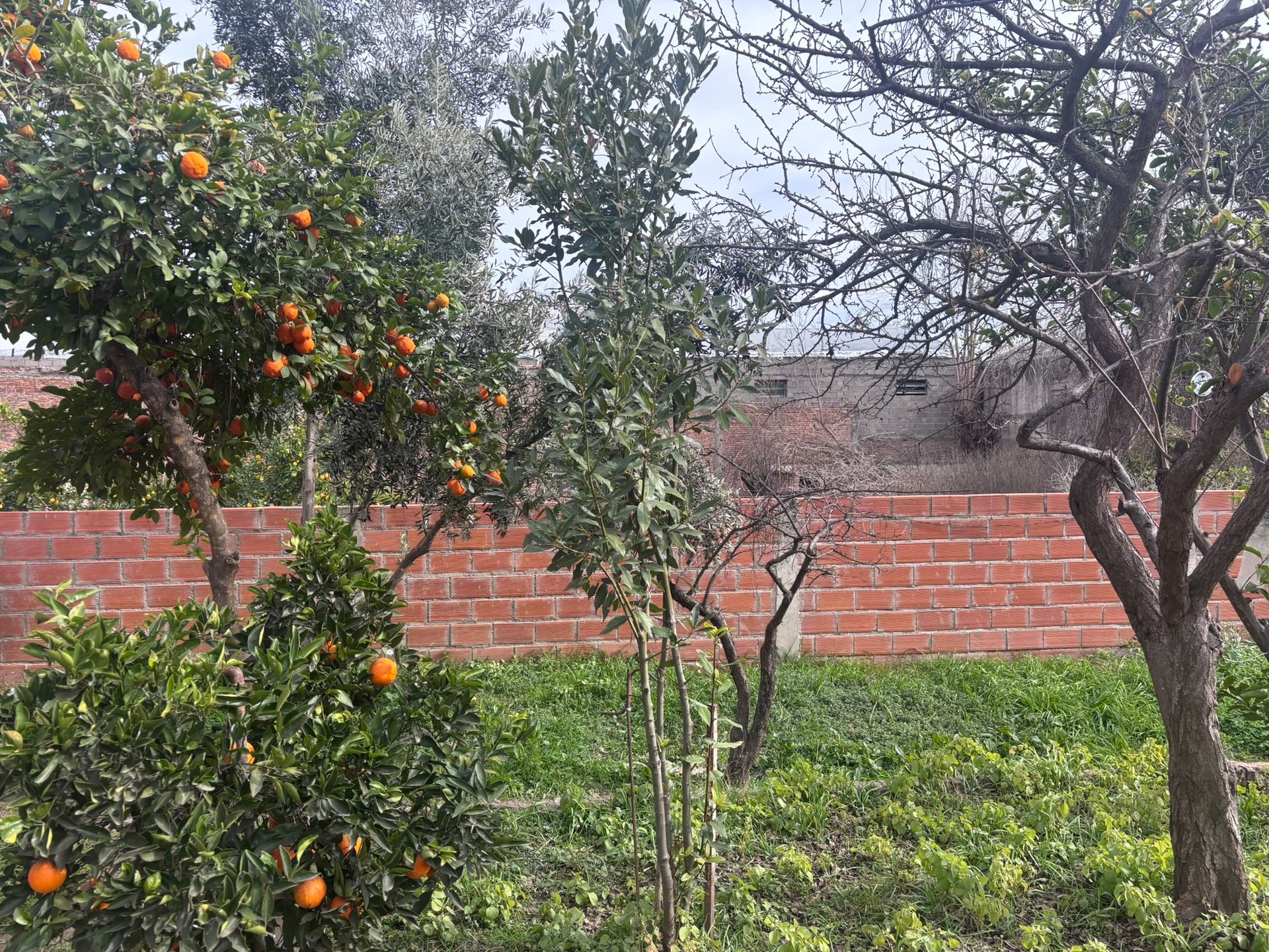 Casa en Venta en San Javier, Cordoba