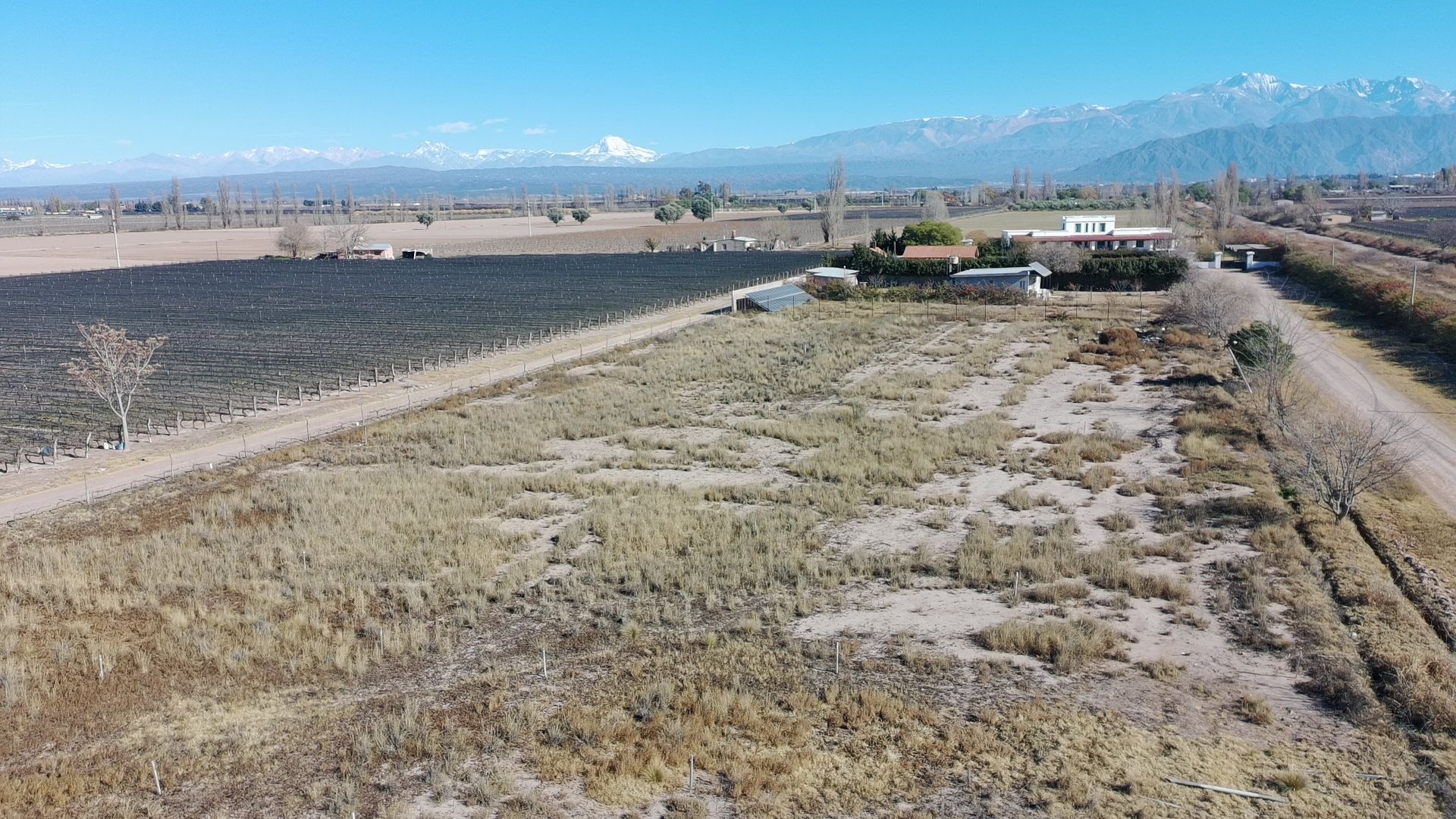 Lote en Venta en Lujan de Cuyo, Mendoza