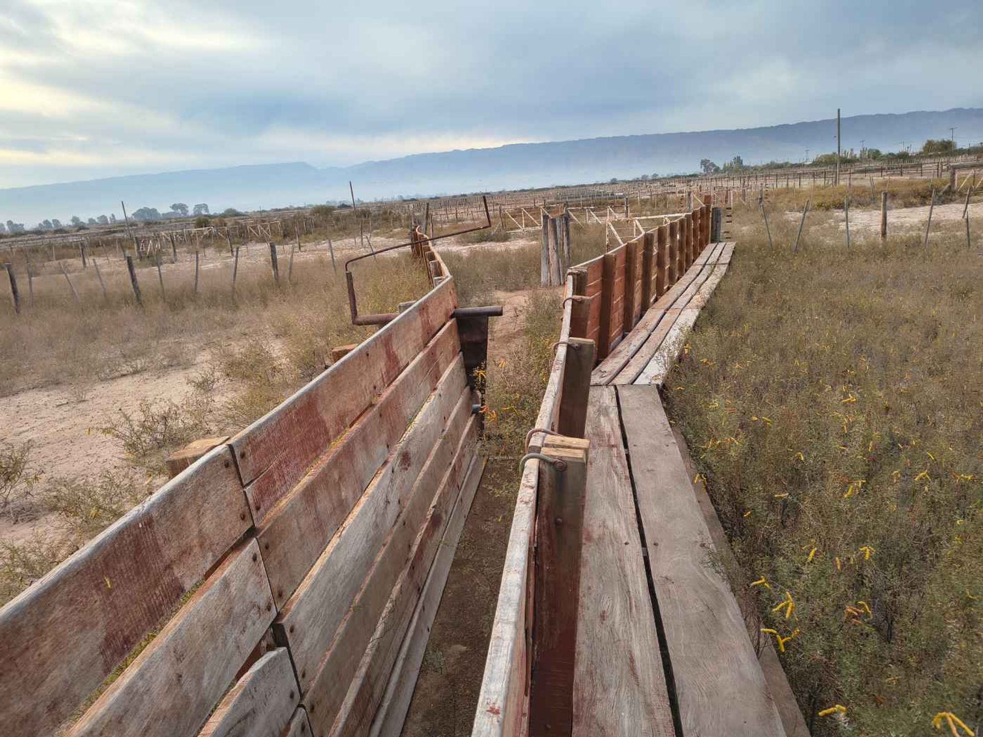 Campo en Venta en Angaco, San Juan - USD 100.000 | Inmoup - 13