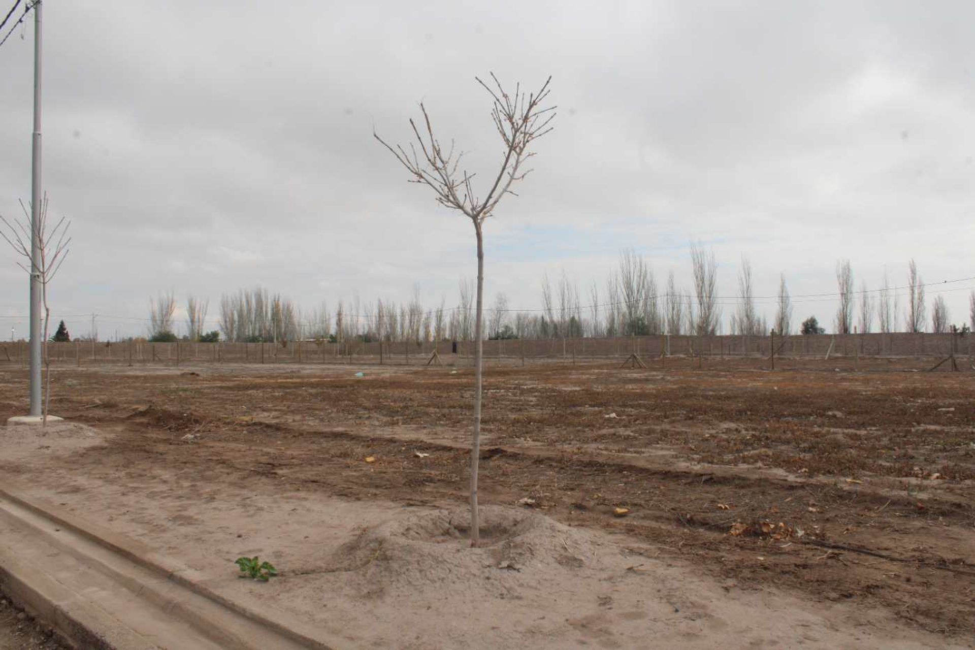 Lote en Venta en Maipu, Mendoza
