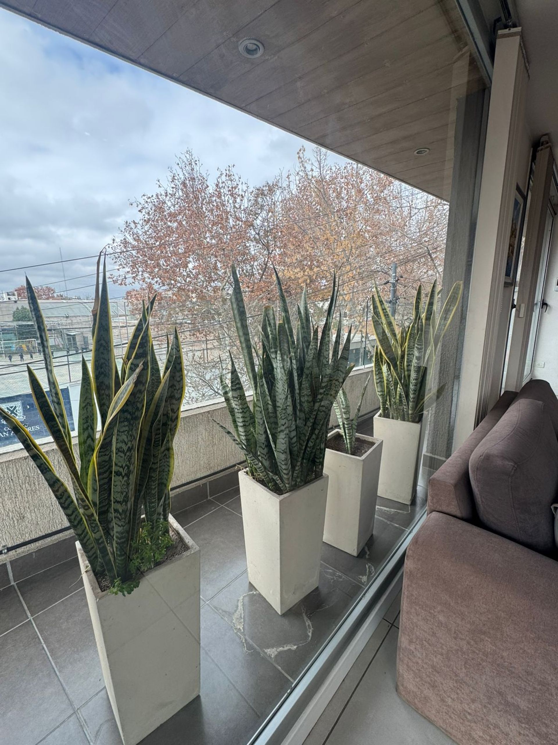 Departamento en Alquiler en Capital, Mendoza
