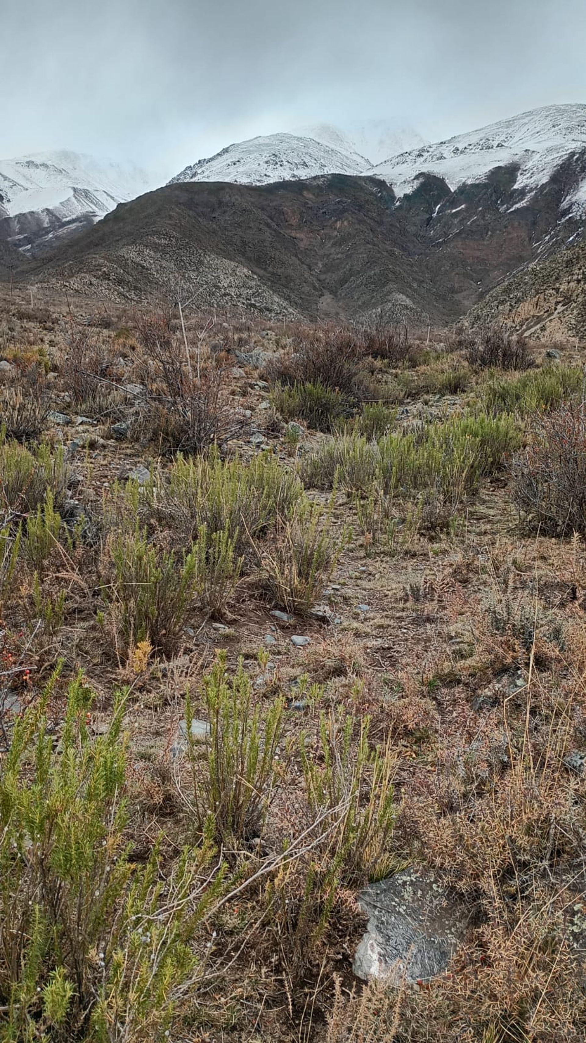 Lote en Venta en Lujan de Cuyo, Mendoza