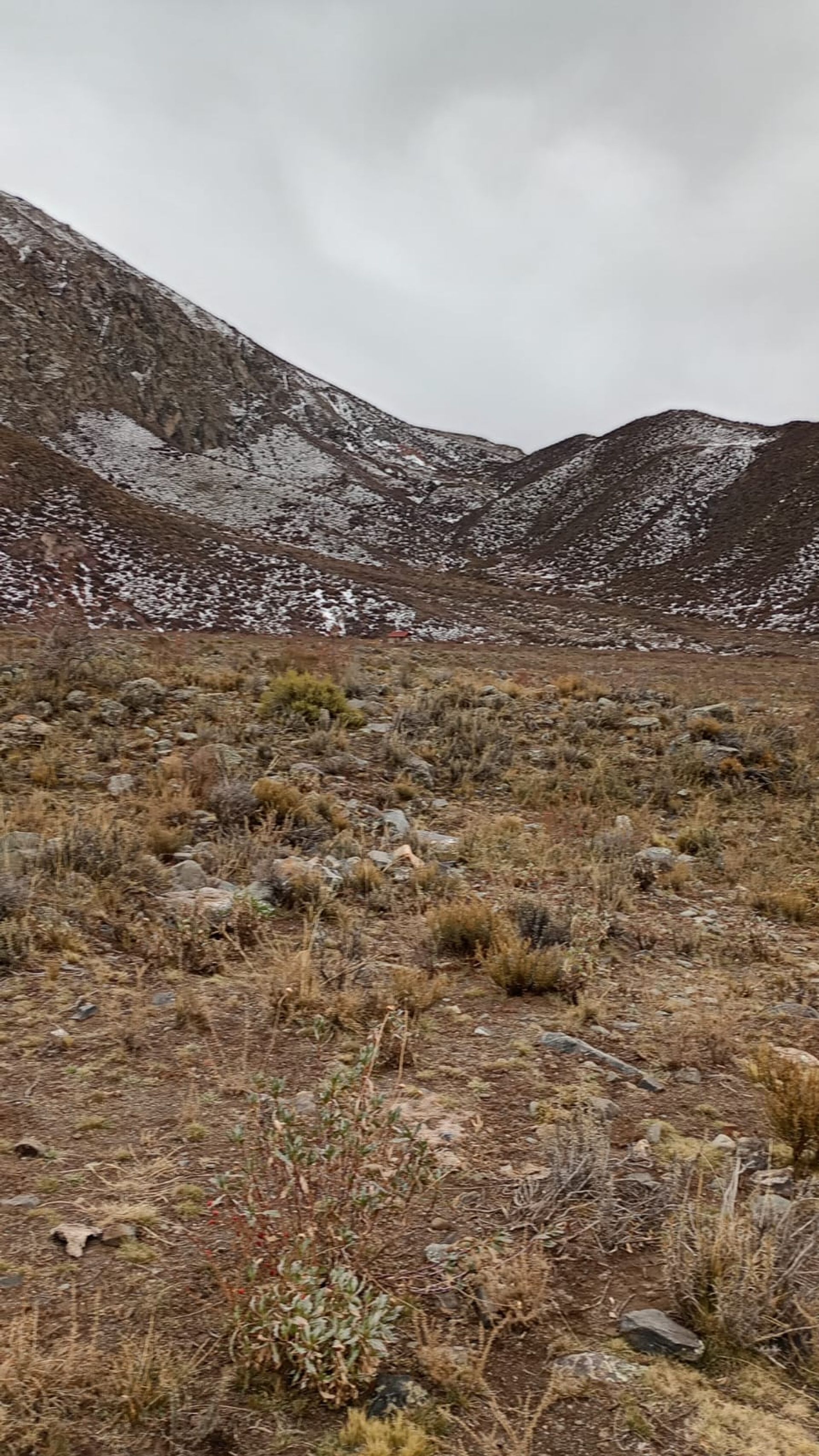 Lote en Venta en Lujan de Cuyo, Mendoza