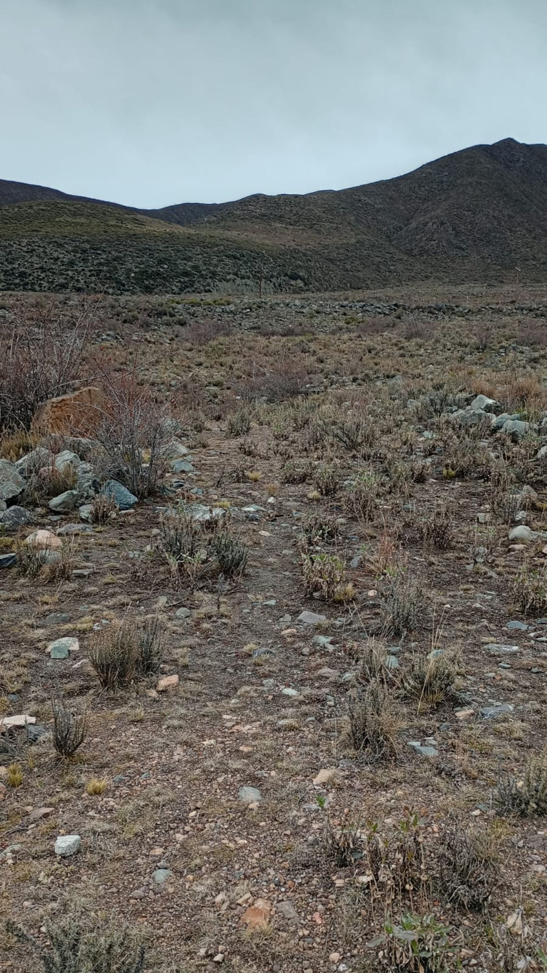 Lote en Venta en Lujan de Cuyo, Mendoza