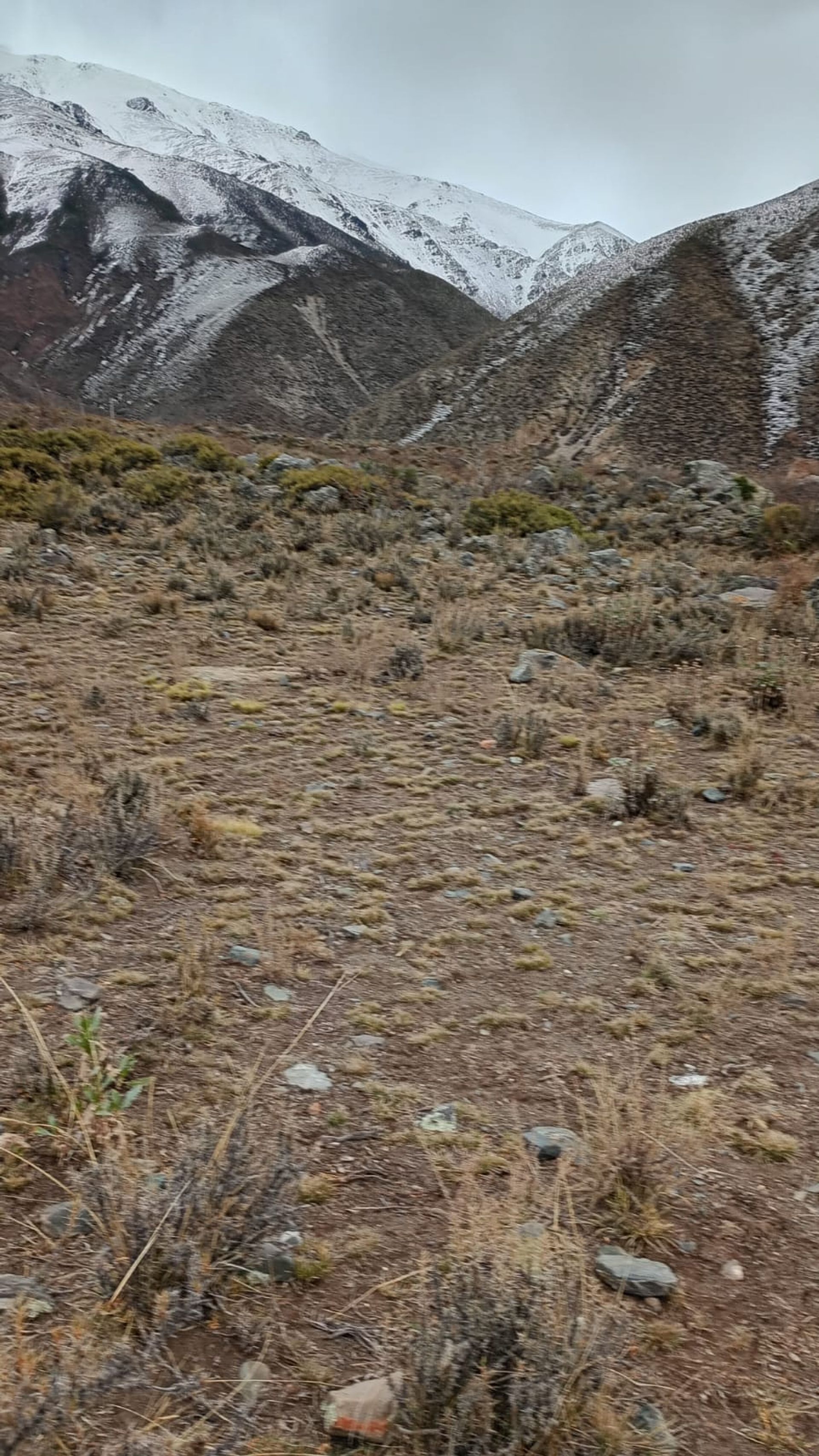 Lote en Venta en Lujan de Cuyo, Mendoza