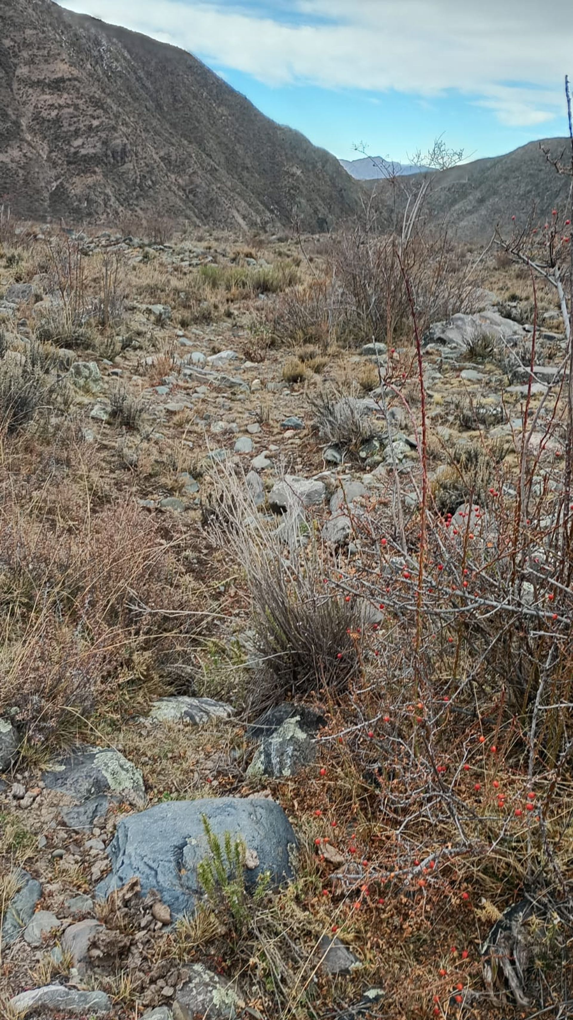 Lote en Venta en Lujan de Cuyo, Mendoza