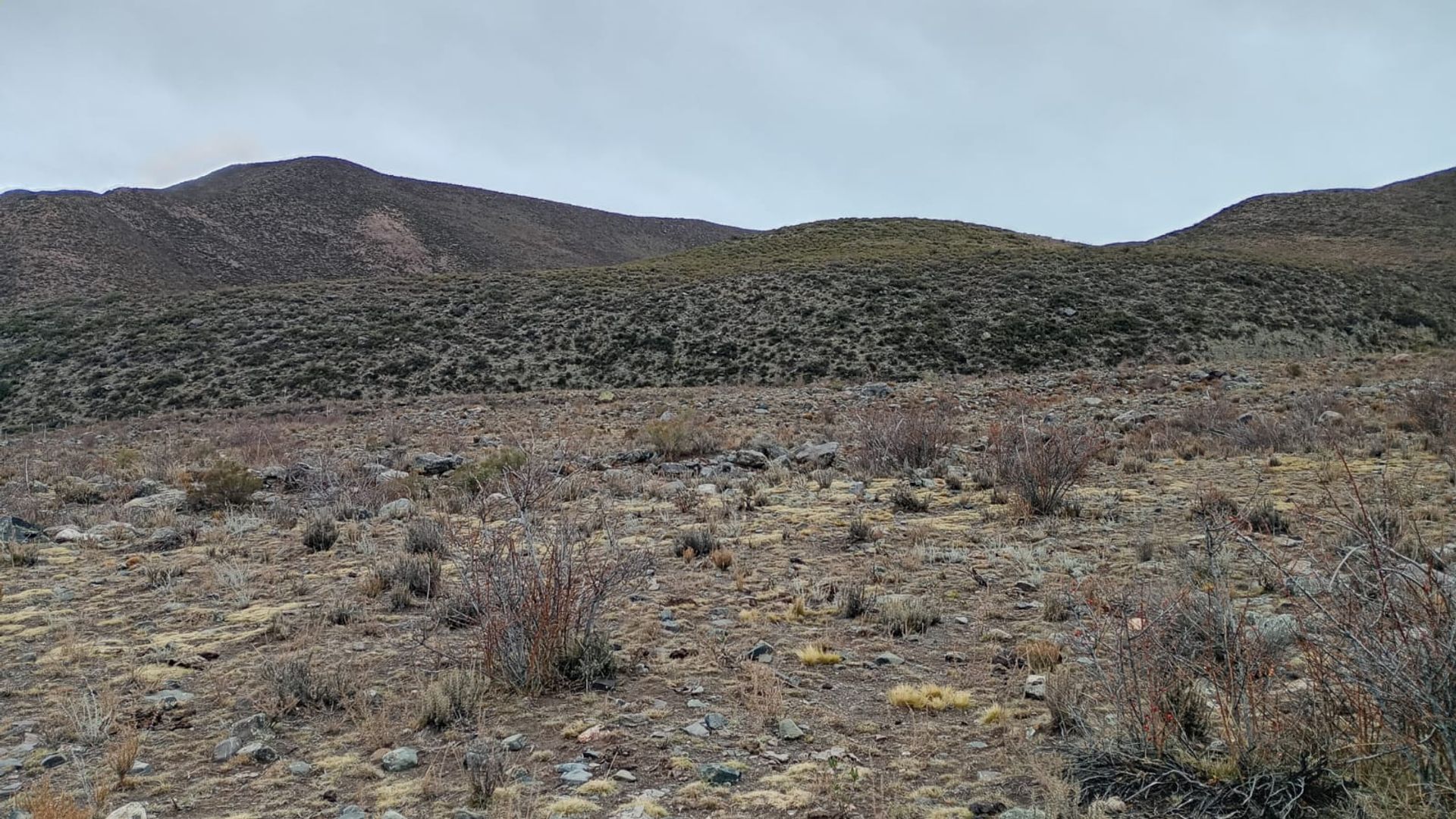 Lote en Venta en Lujan de Cuyo, Mendoza