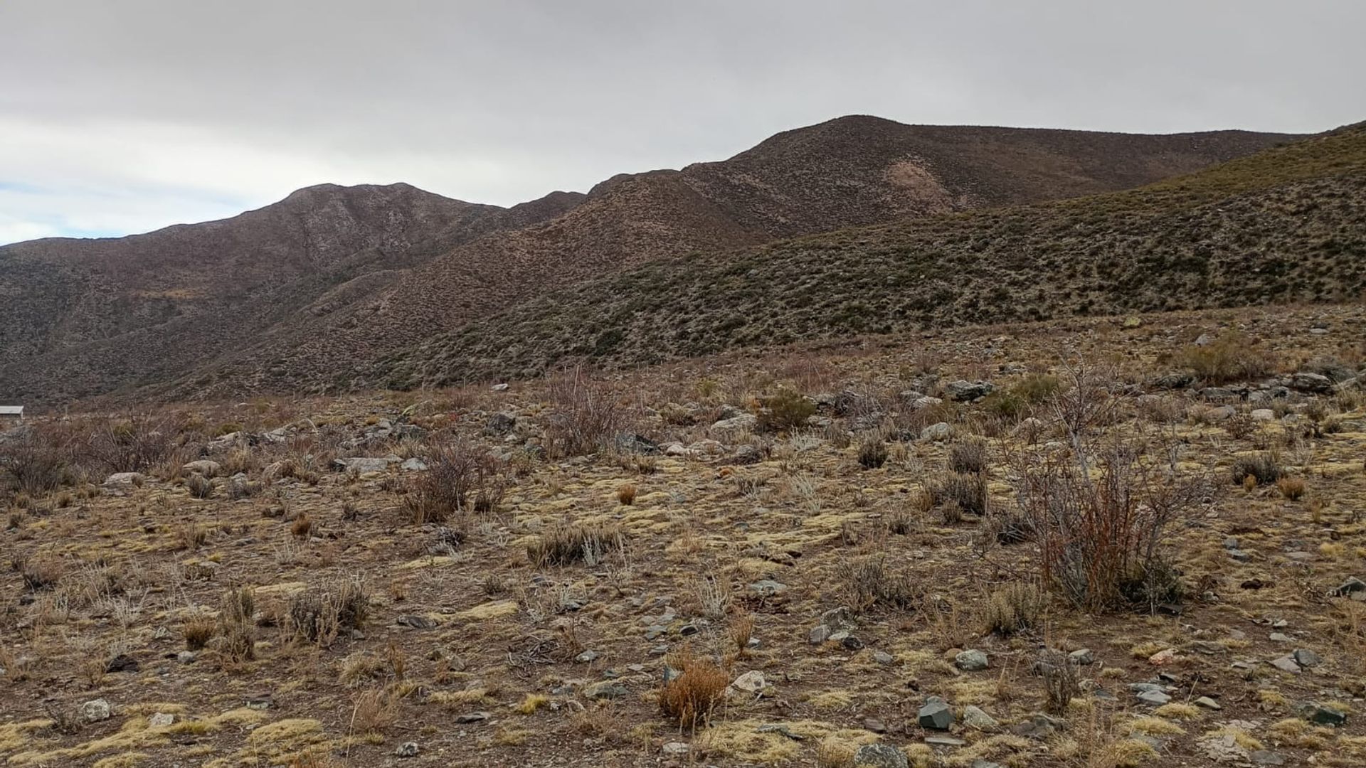 Lote en Venta en Lujan de Cuyo, Mendoza