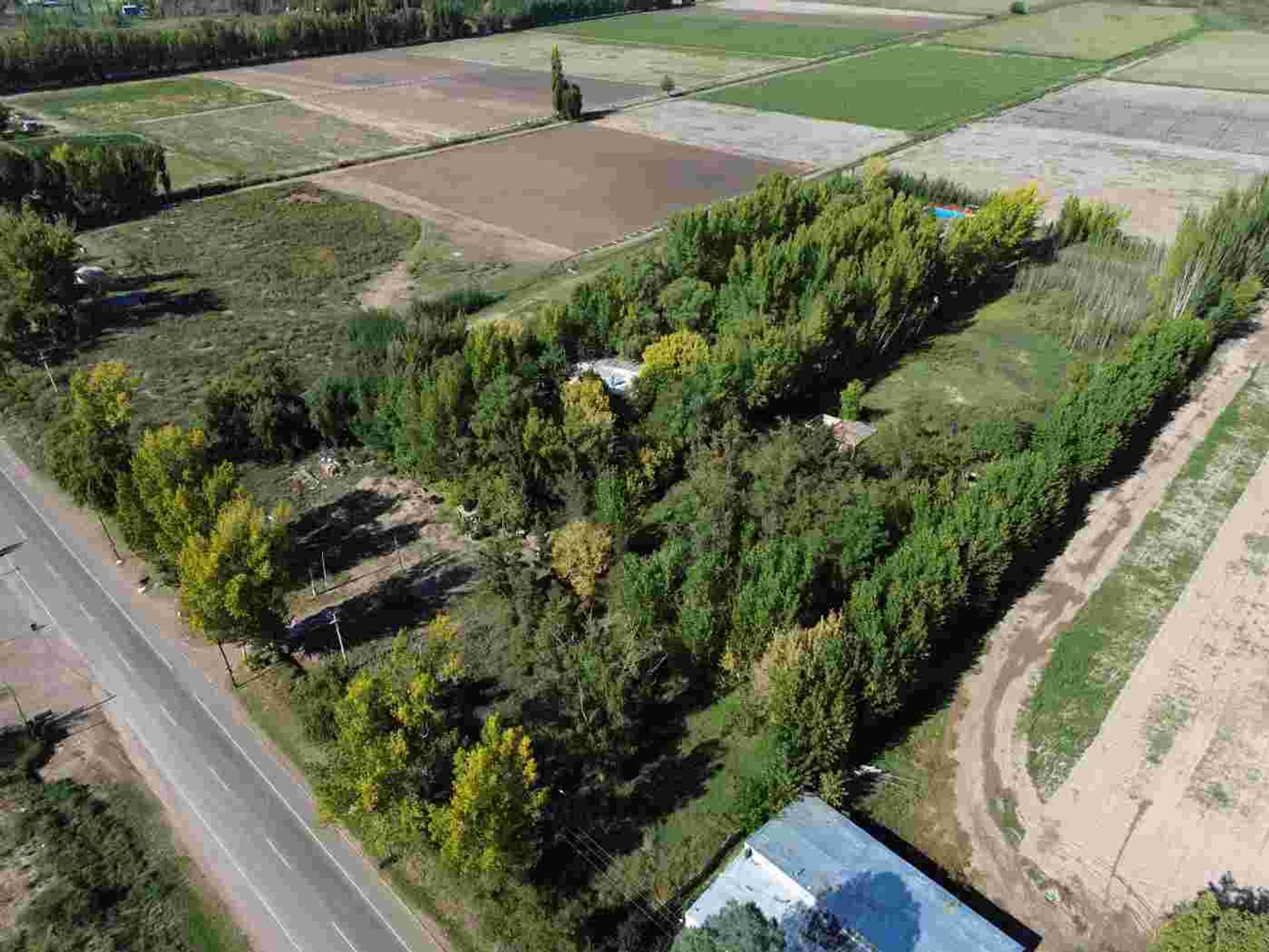 Lote en Venta en Lujan de Cuyo, Mendoza
