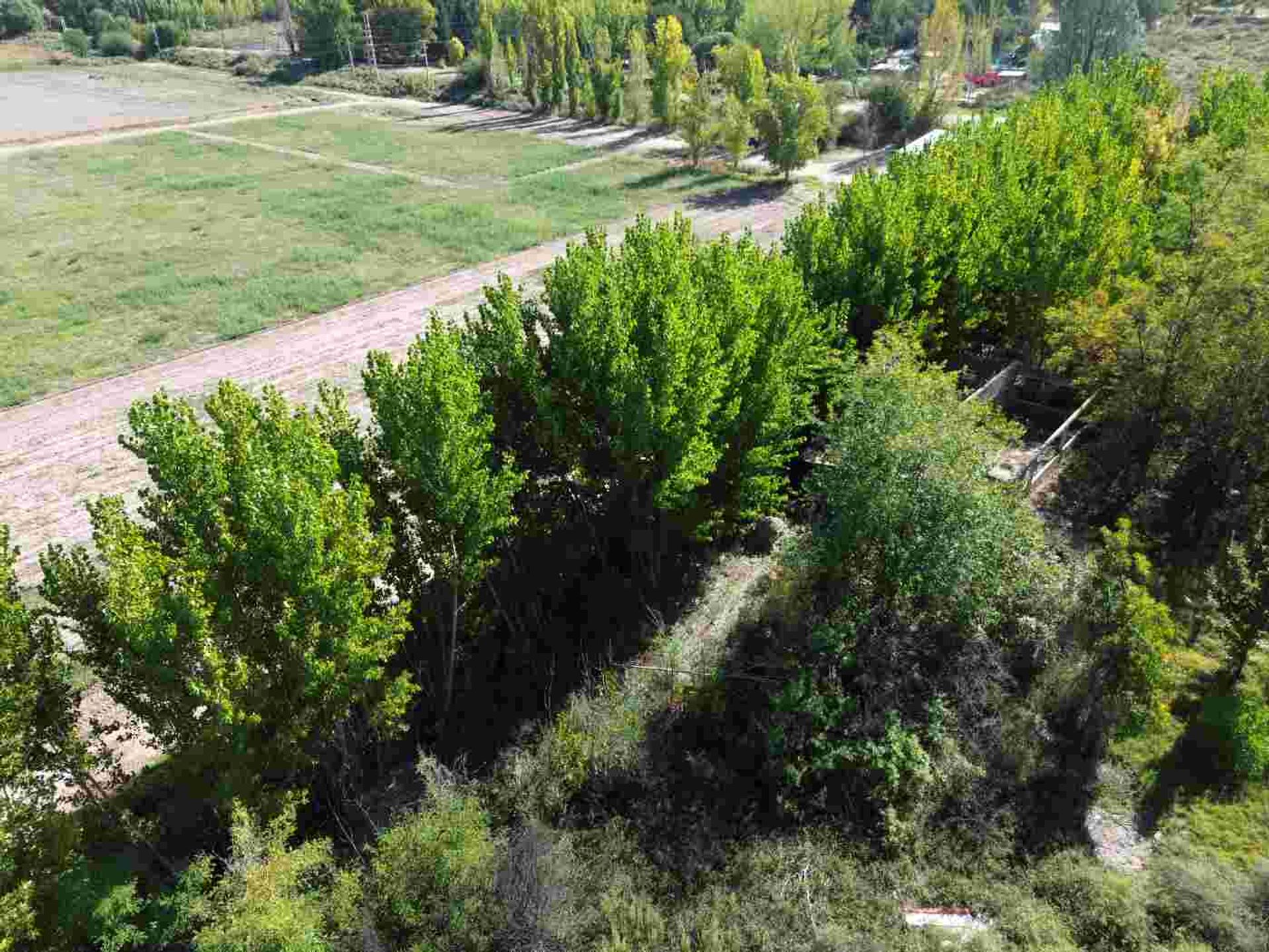 Lote en Venta en Lujan de Cuyo, Mendoza