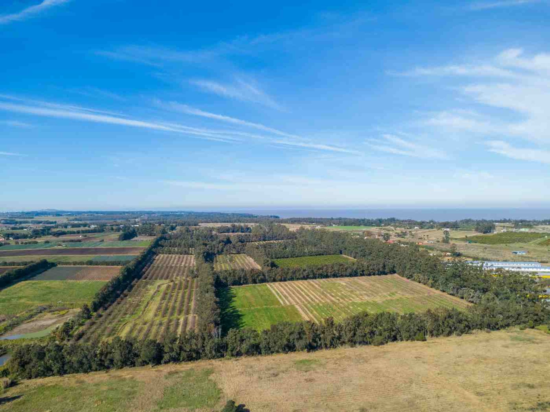 VENTA DE CHACRA 20 has EN PUNTA ESPINILLO - 16