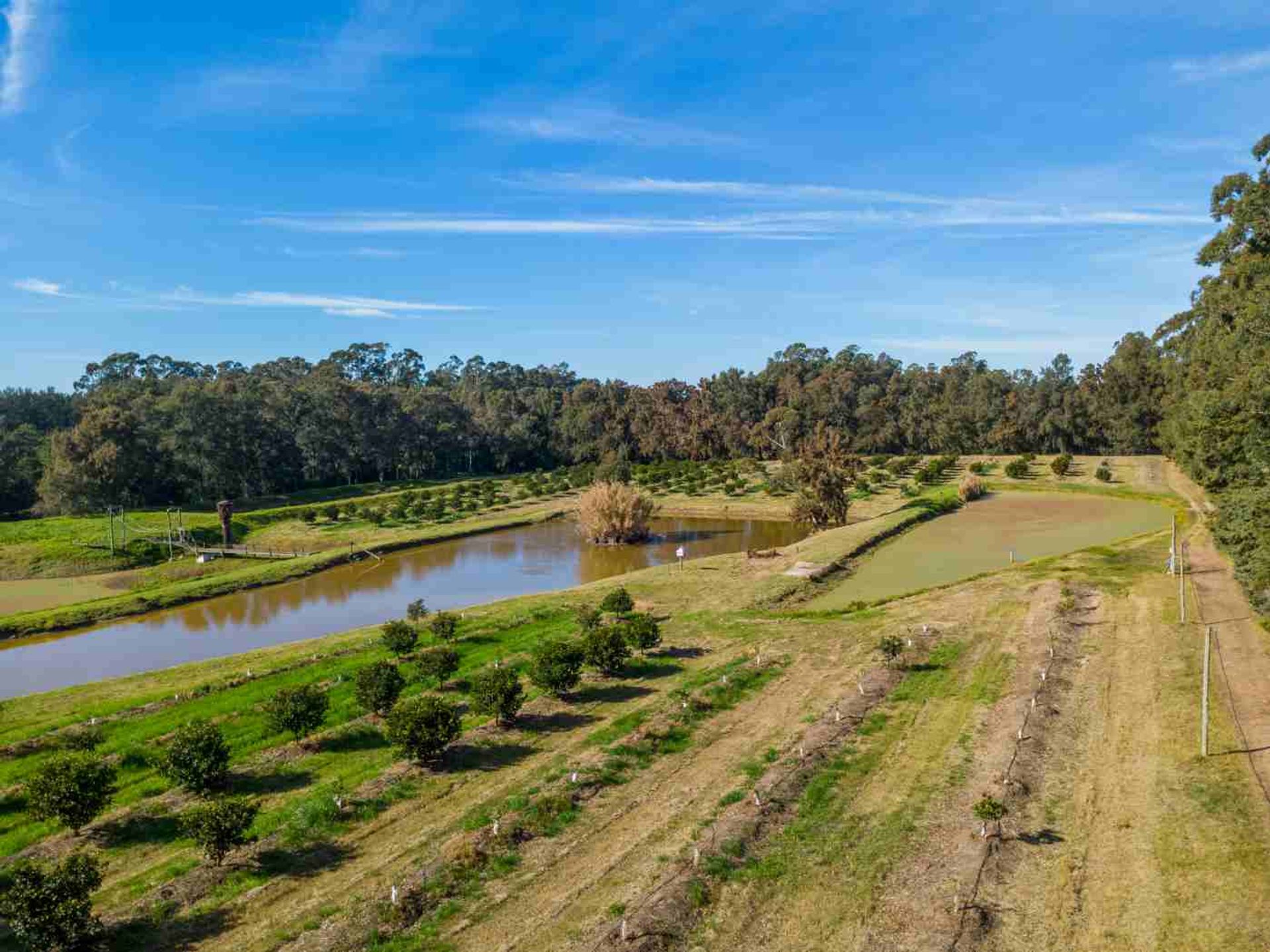 VENTA DE CHACRA 20 has EN PUNTA ESPINILLO - 13