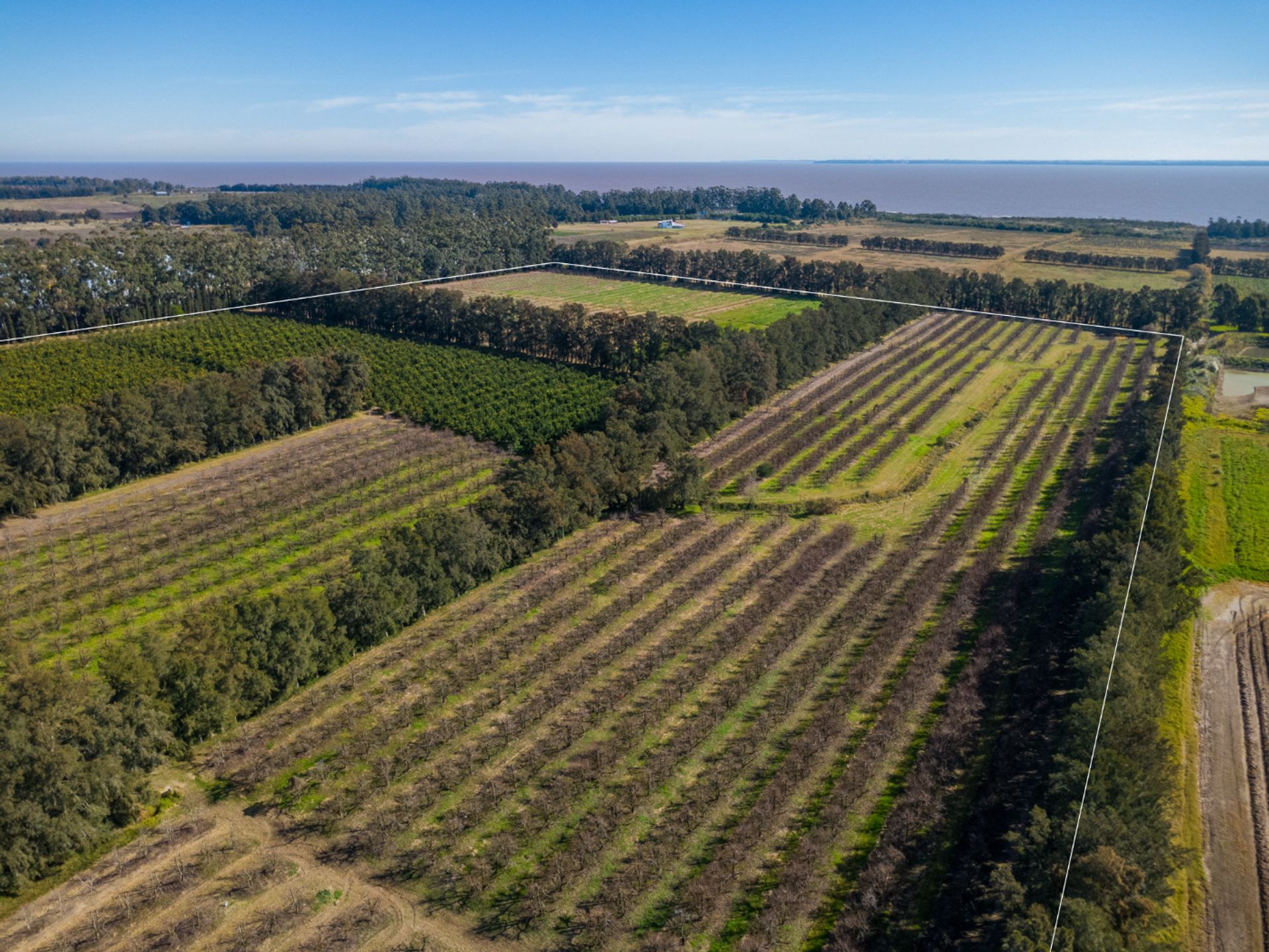 VENTA DE CHACRA 20 has EN PUNTA ESPINILLO - 10