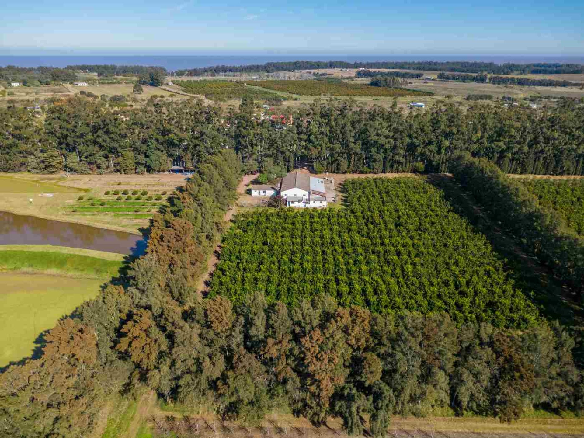 VENTA DE CHACRA 20 has EN PUNTA ESPINILLO - 4
