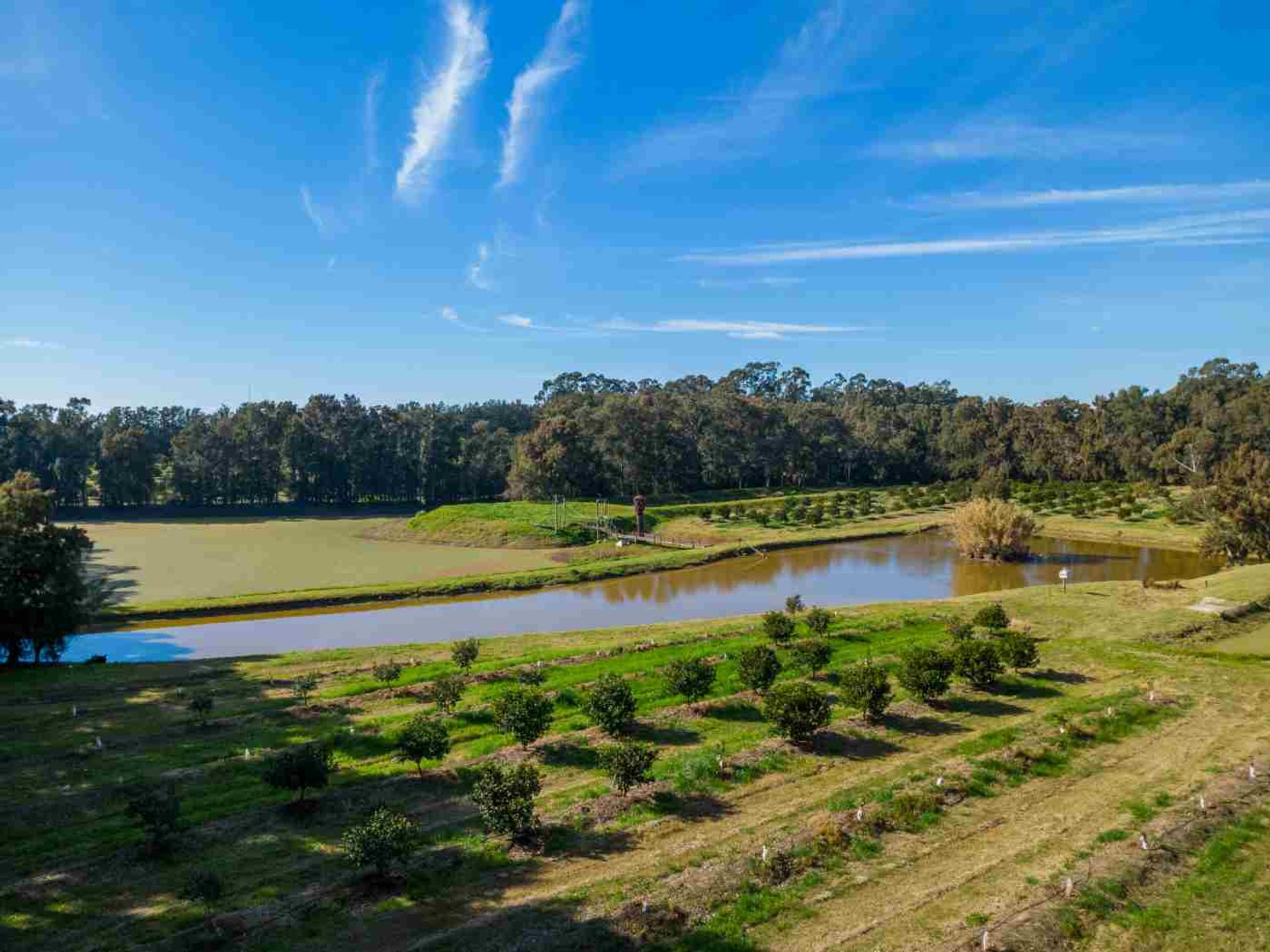 VENTA DE CHACRA 20 has EN PUNTA ESPINILLO - 14