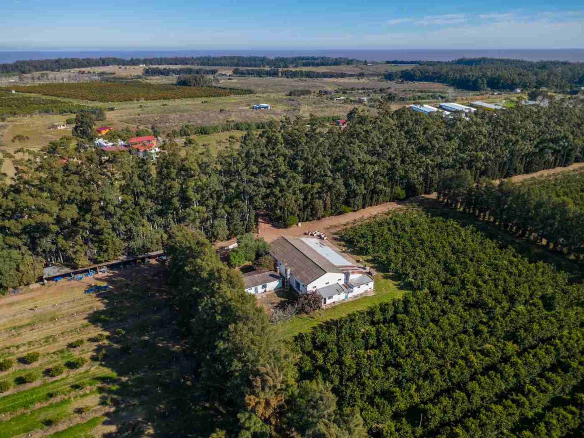 VENTA DE CHACRA 20 has EN PUNTA ESPINILLO - 1