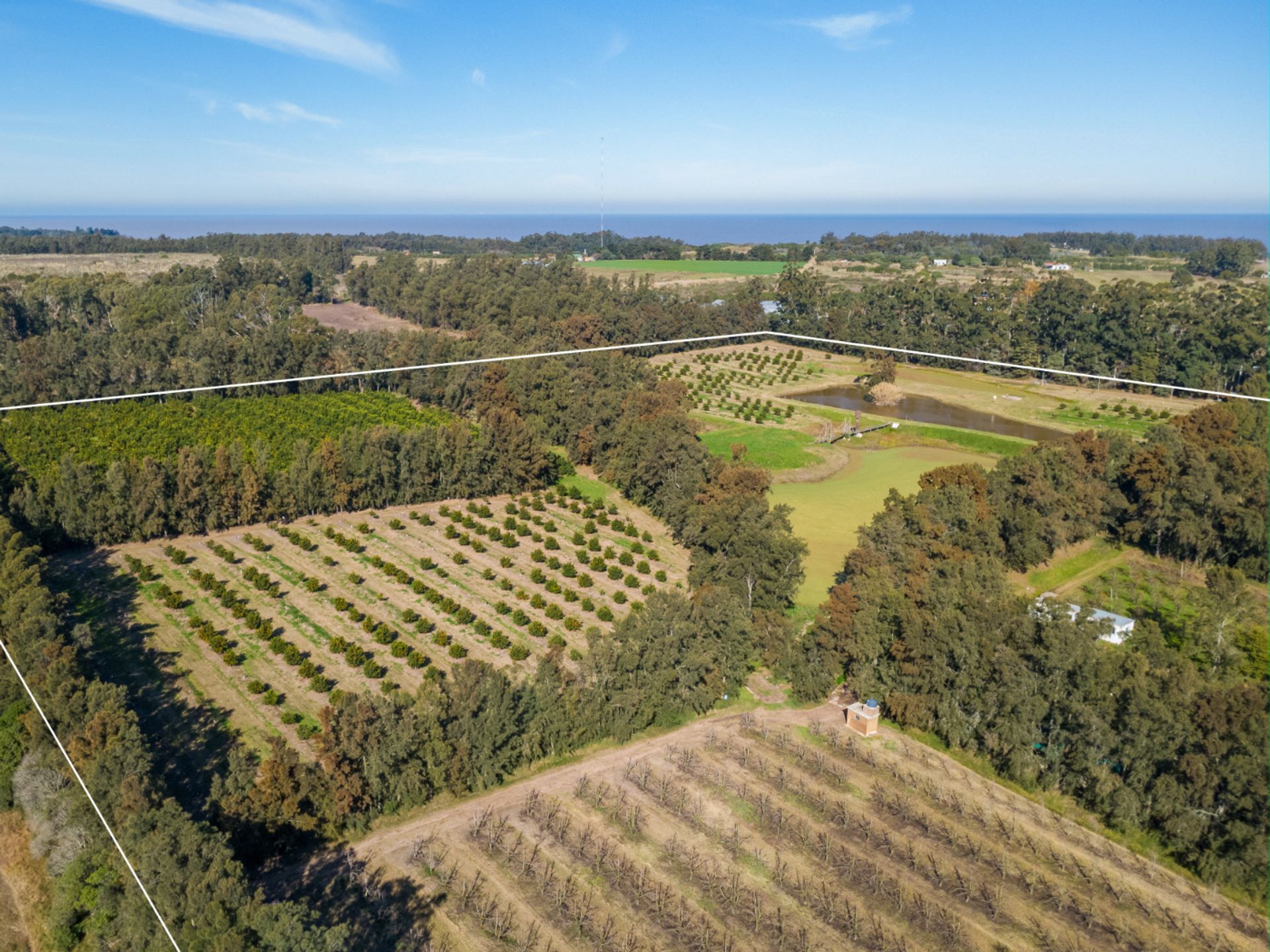 VENTA DE CHACRA 20 has EN PUNTA ESPINILLO - 15