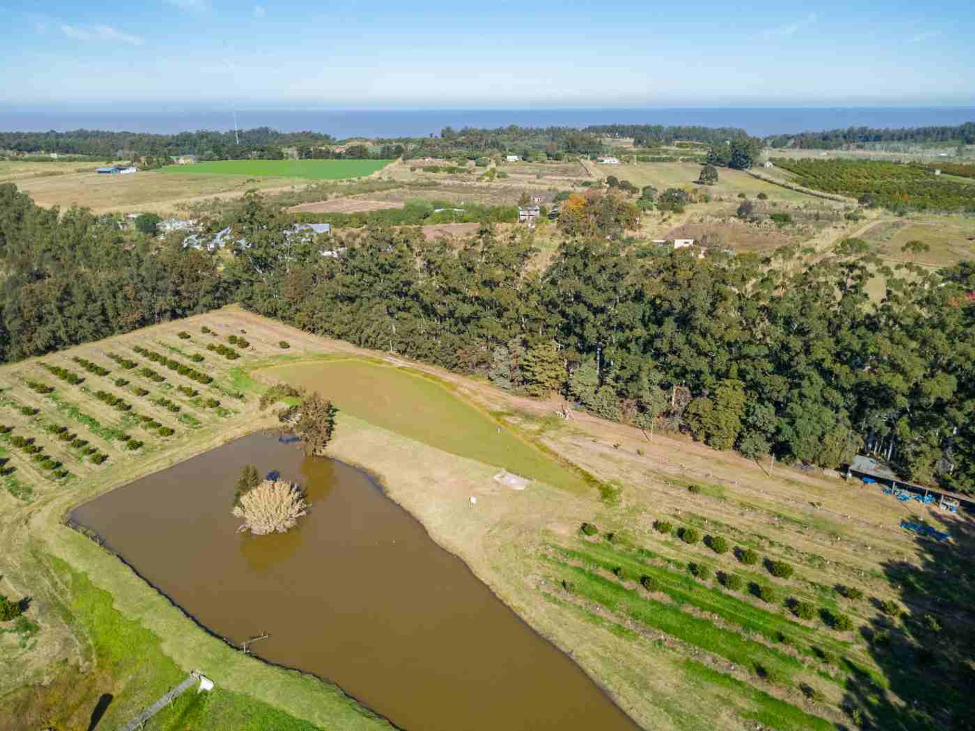 VENTA DE CHACRA 20 has EN PUNTA ESPINILLO - 9