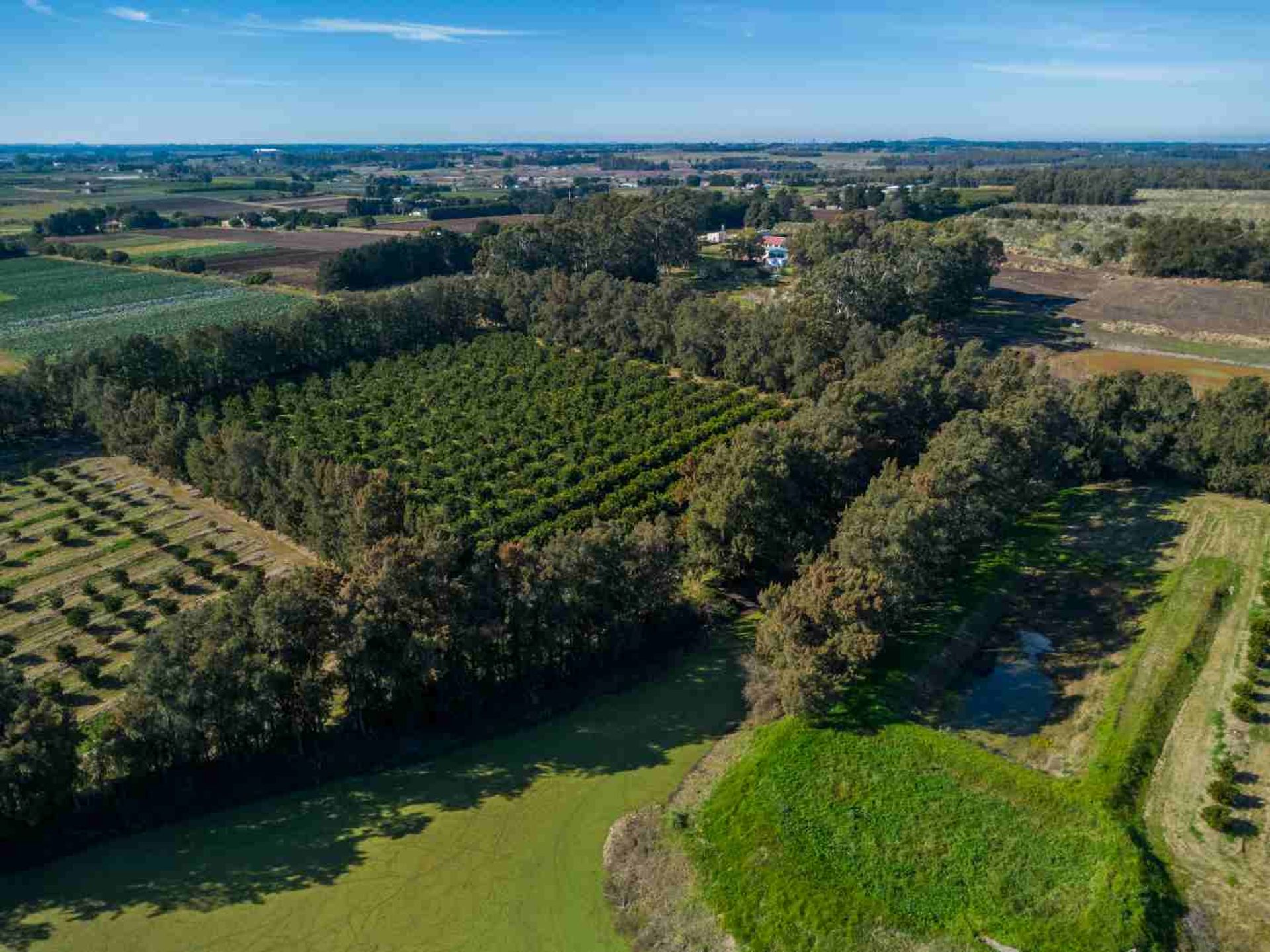 VENTA DE CHACRA 20 has EN PUNTA ESPINILLO - 8