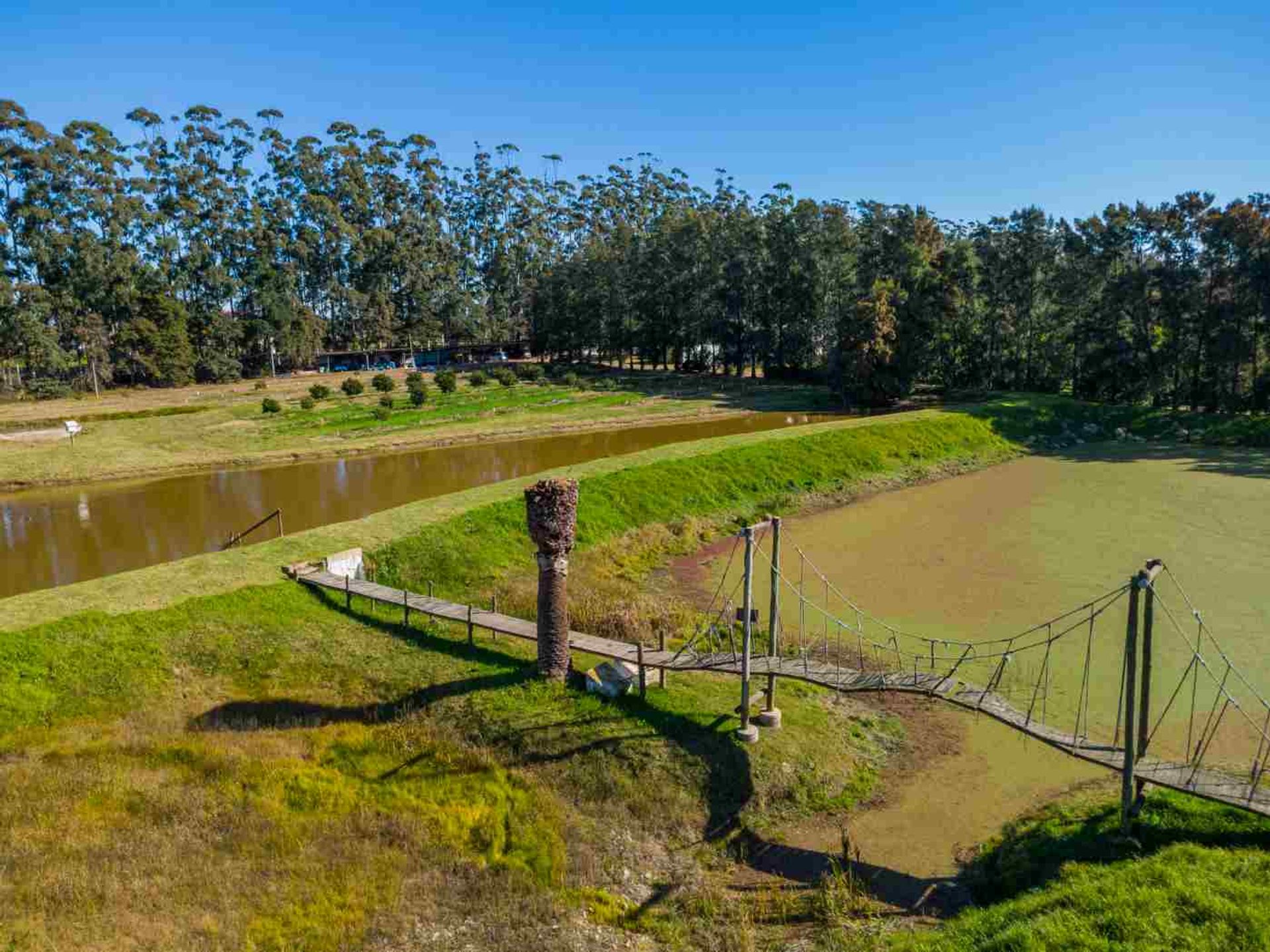 VENTA DE CHACRA 20 has EN PUNTA ESPINILLO - 3