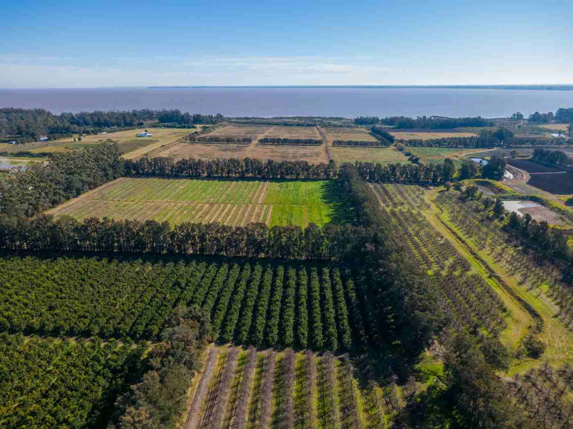 VENTA DE CHACRA 20 has EN PUNTA ESPINILLO - 18