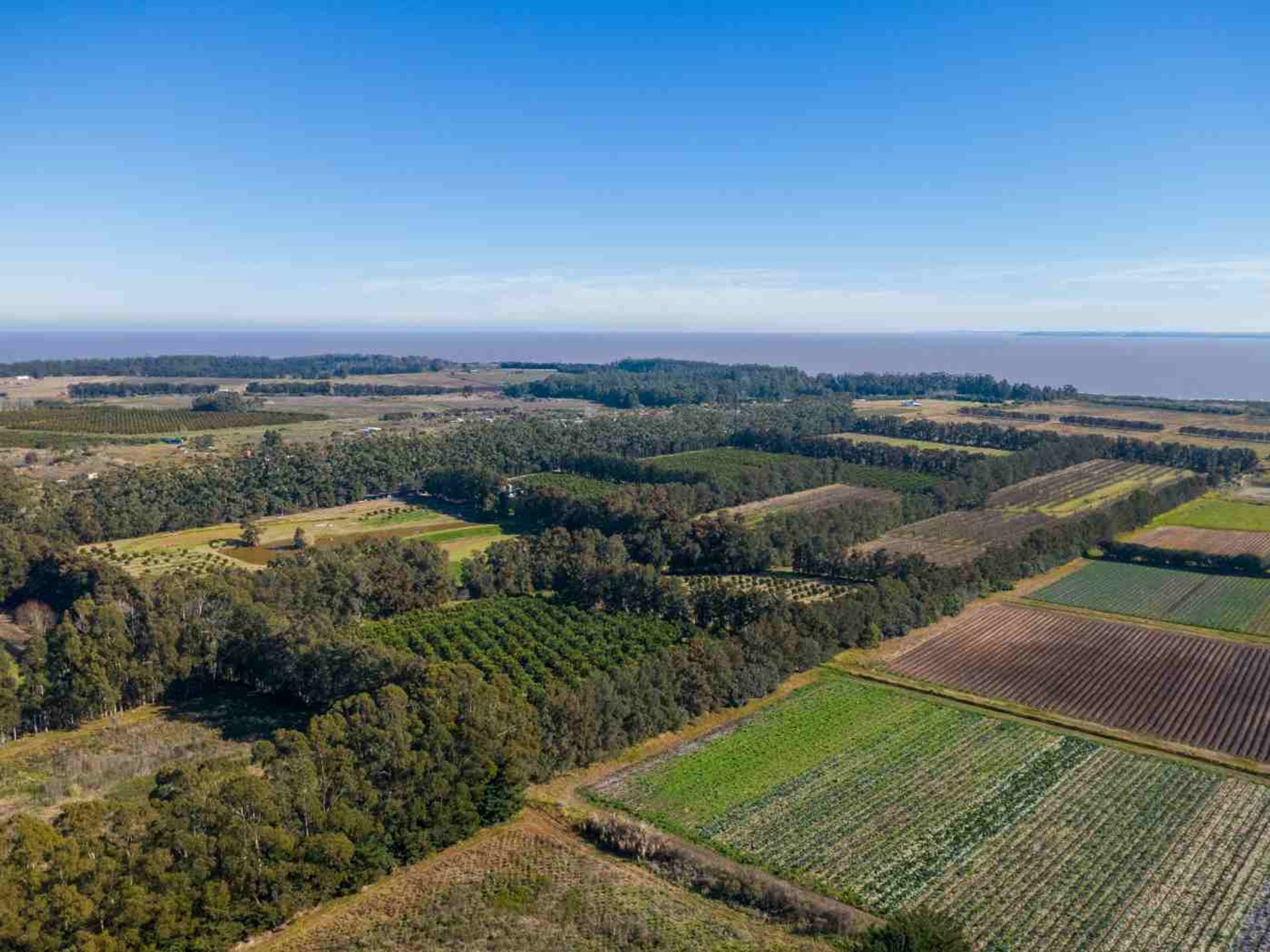 VENTA DE CHACRA 20 has EN PUNTA ESPINILLO - 19